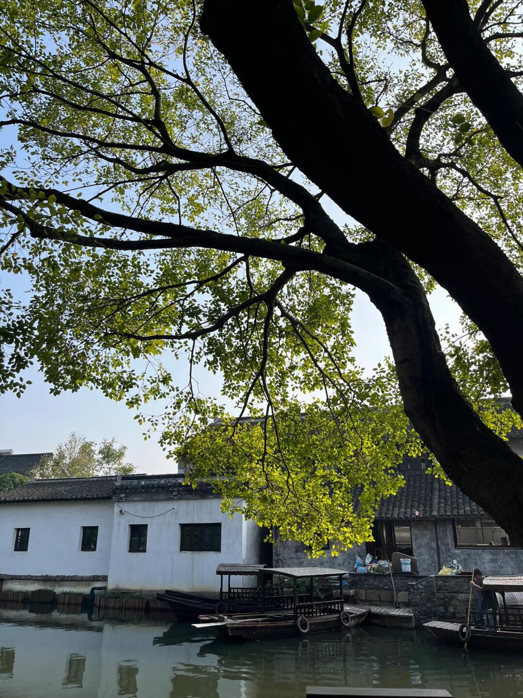 歇马桥古村旅行图片 1