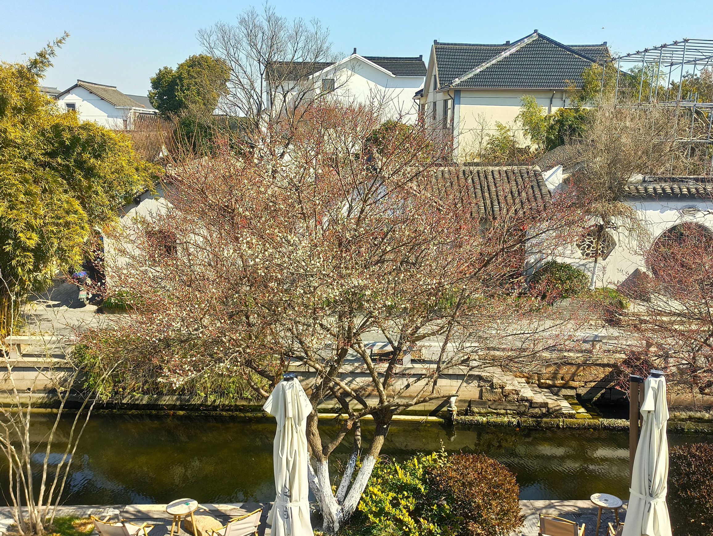 歇马桥古村旅行图片 1