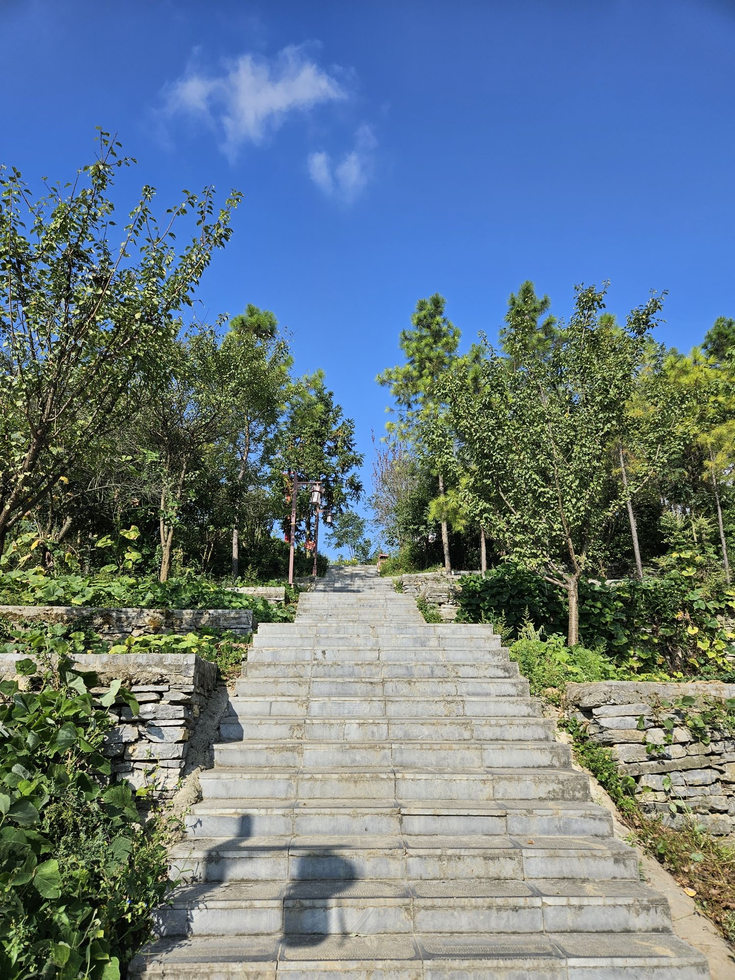 云鼎书院便利店旅行图片 3