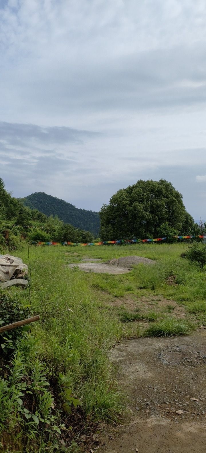 高峯禅寺