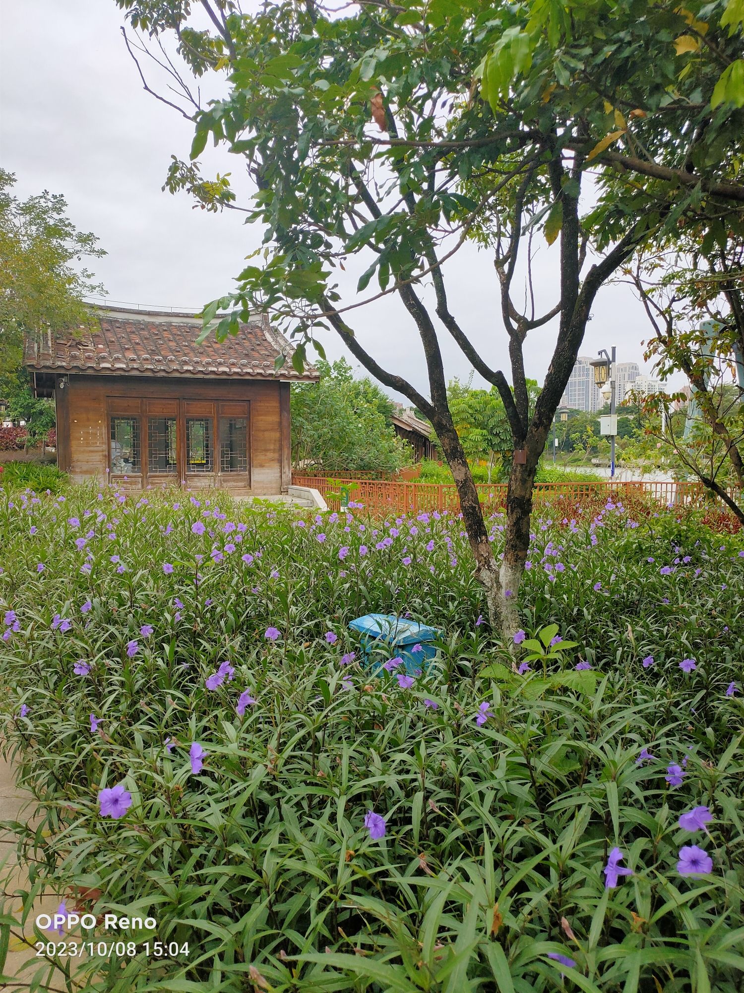 张山头红军墓群旅行图片 2