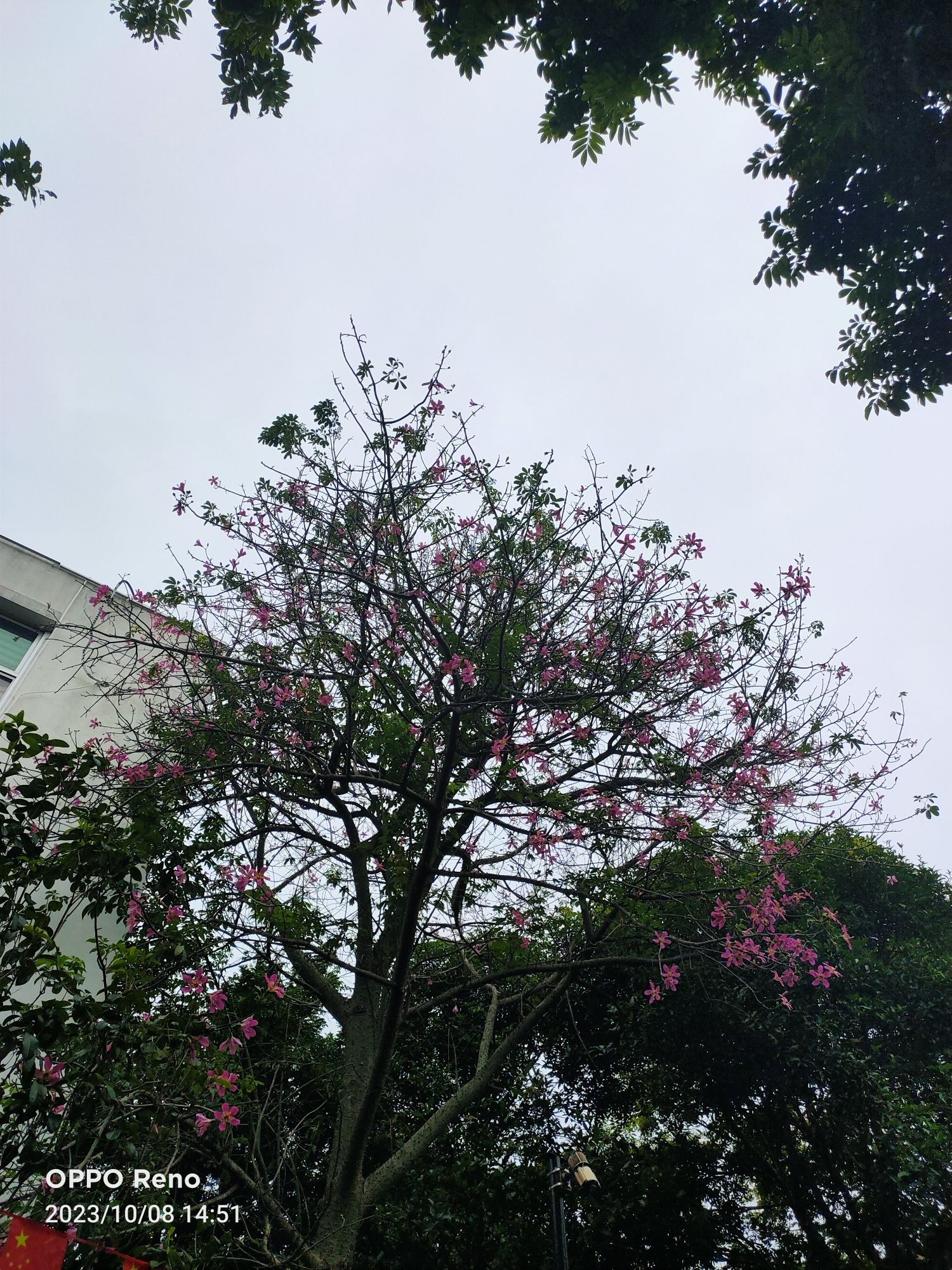 张山头红军墓群旅行图片 3
