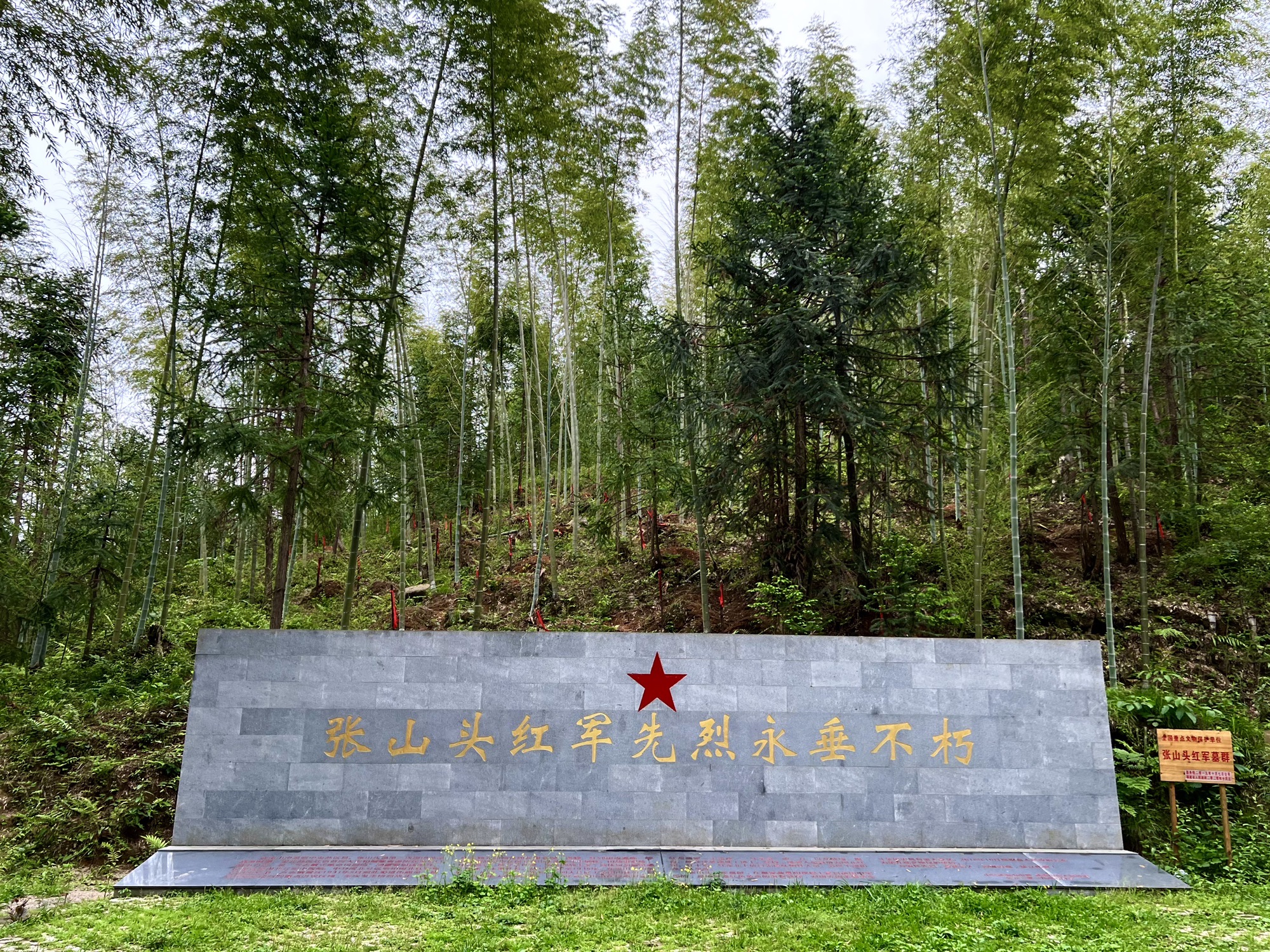张山头红军墓群旅行图片 1