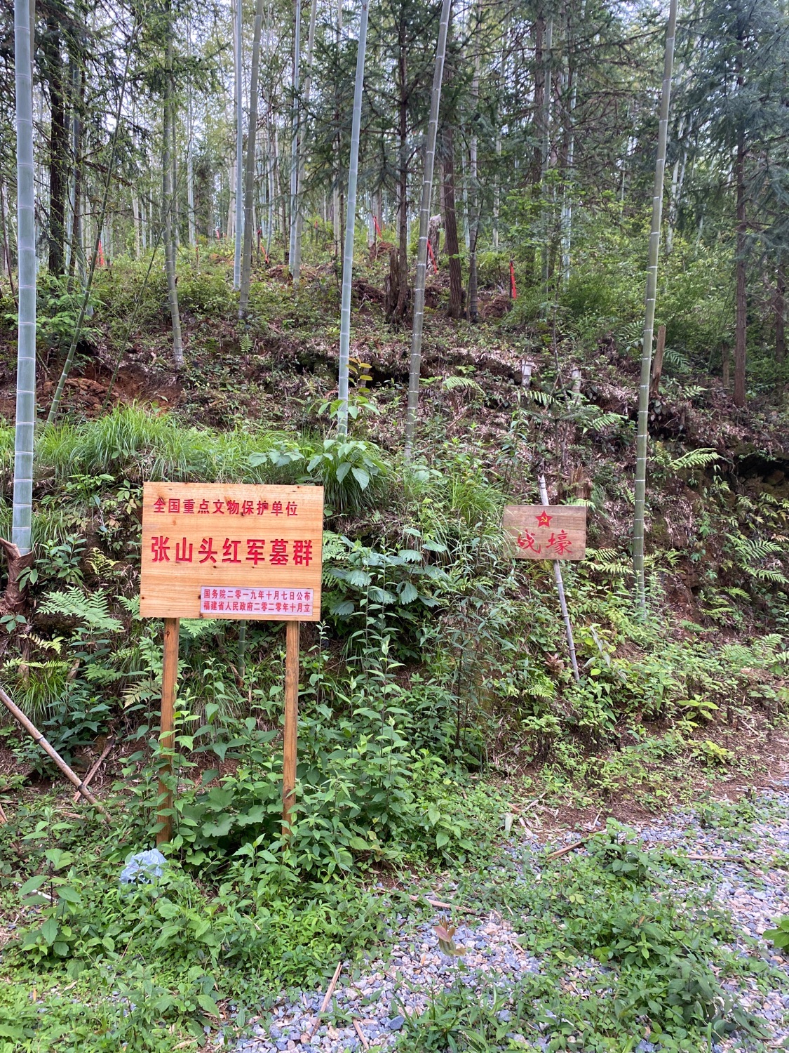 张山头红军墓群旅行图片 3