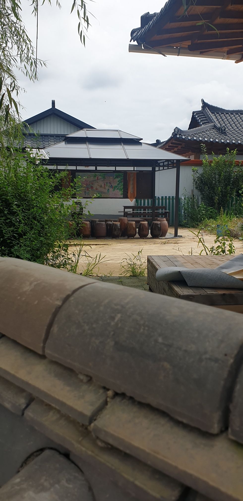 太兴红色小镇旅行图片 3