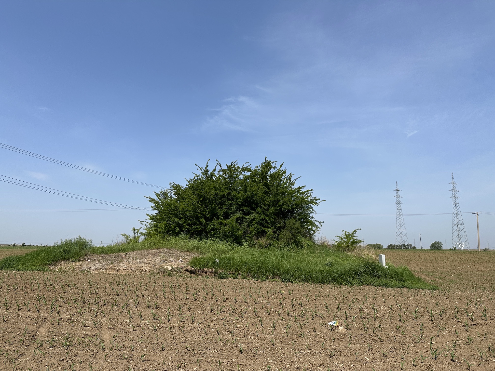 西河山烽火台遗址旅行图片 3