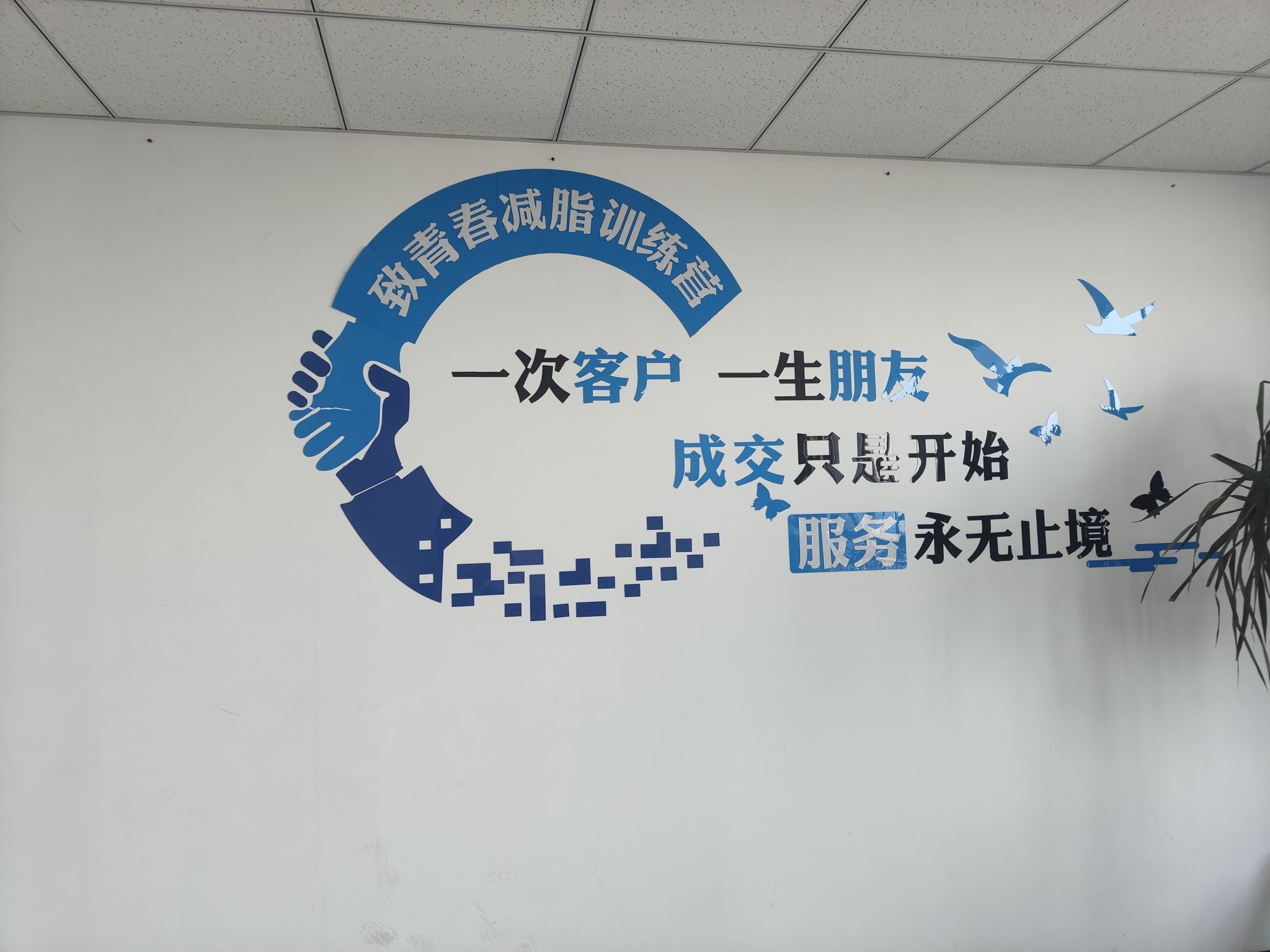 济宁致青春减脂训练营