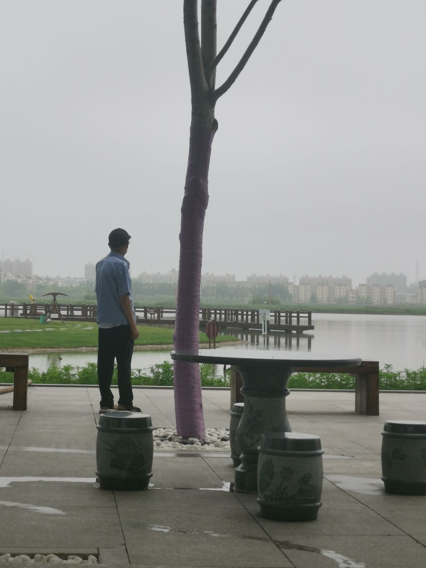 天鹅岛旅行图片 2