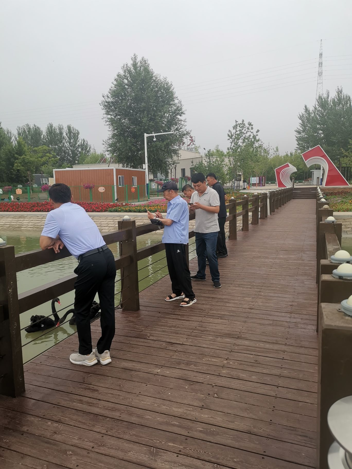 天鹅岛旅行图片 3