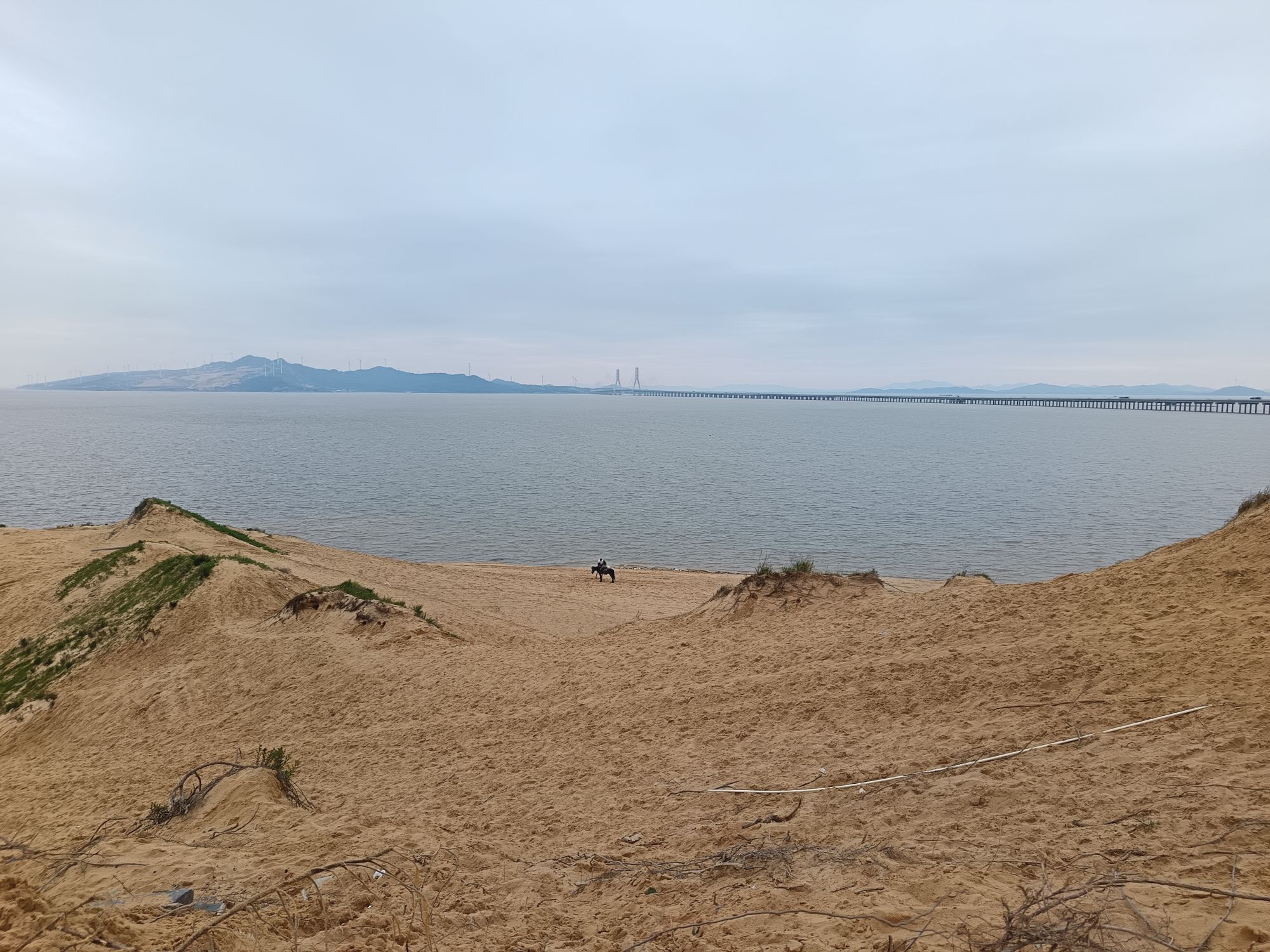 庐山沙海旅行图片 1