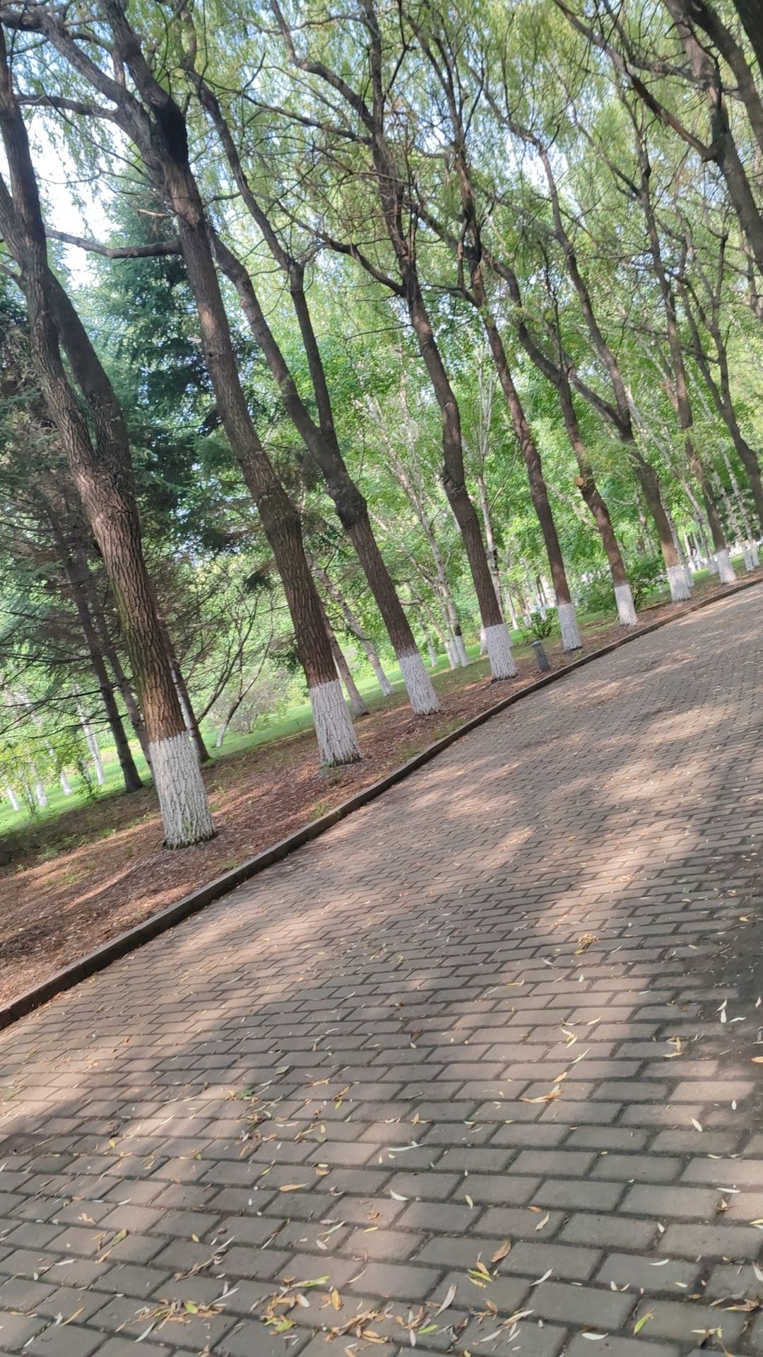沈阳农业大学南校区