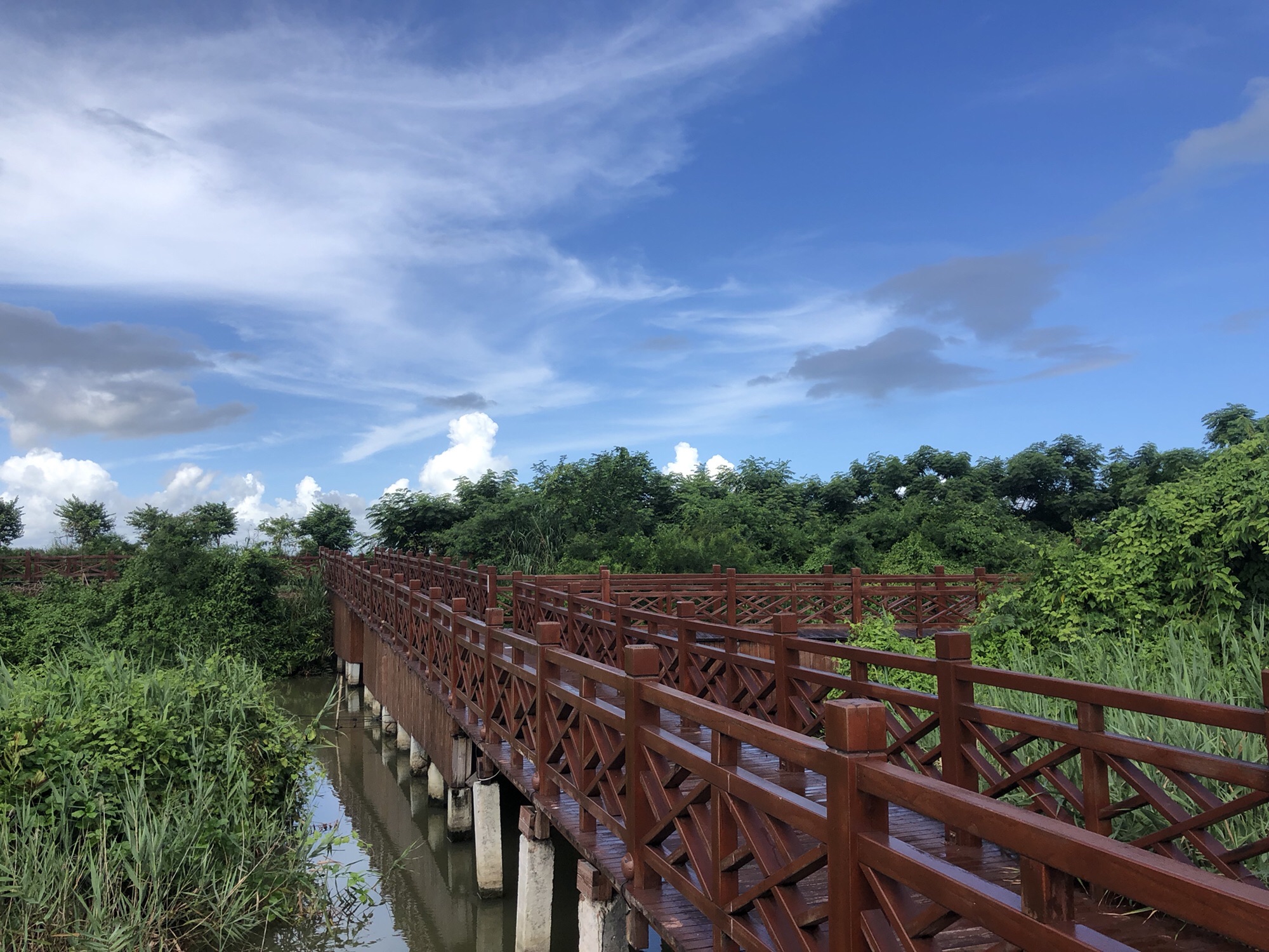 高螺湿地公园旅行图片 3