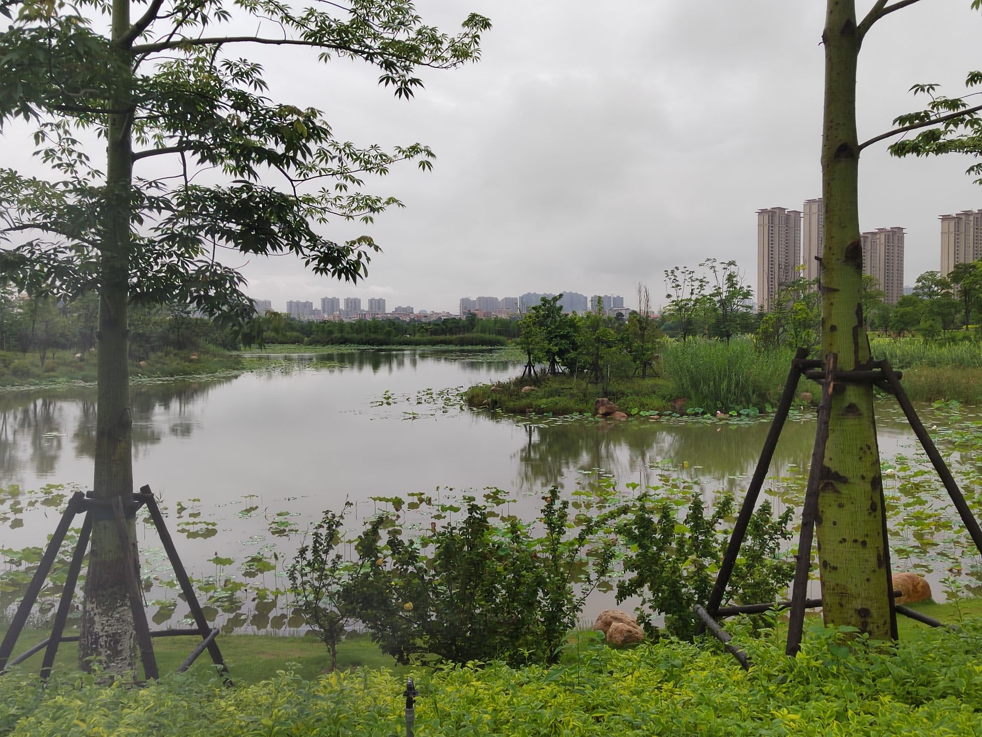 马銮湾双溪湿地公园旅行图片 2