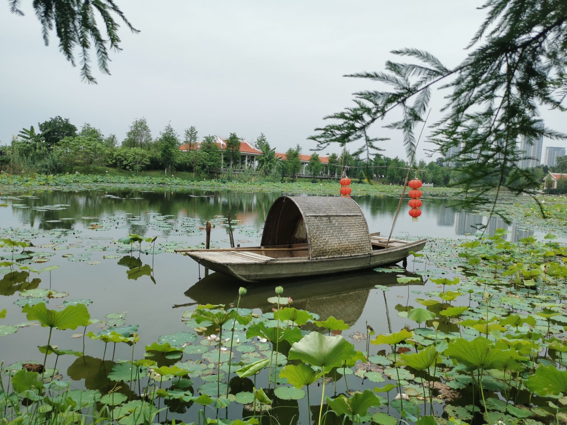 马銮湾双溪湿地公园旅行图片 3