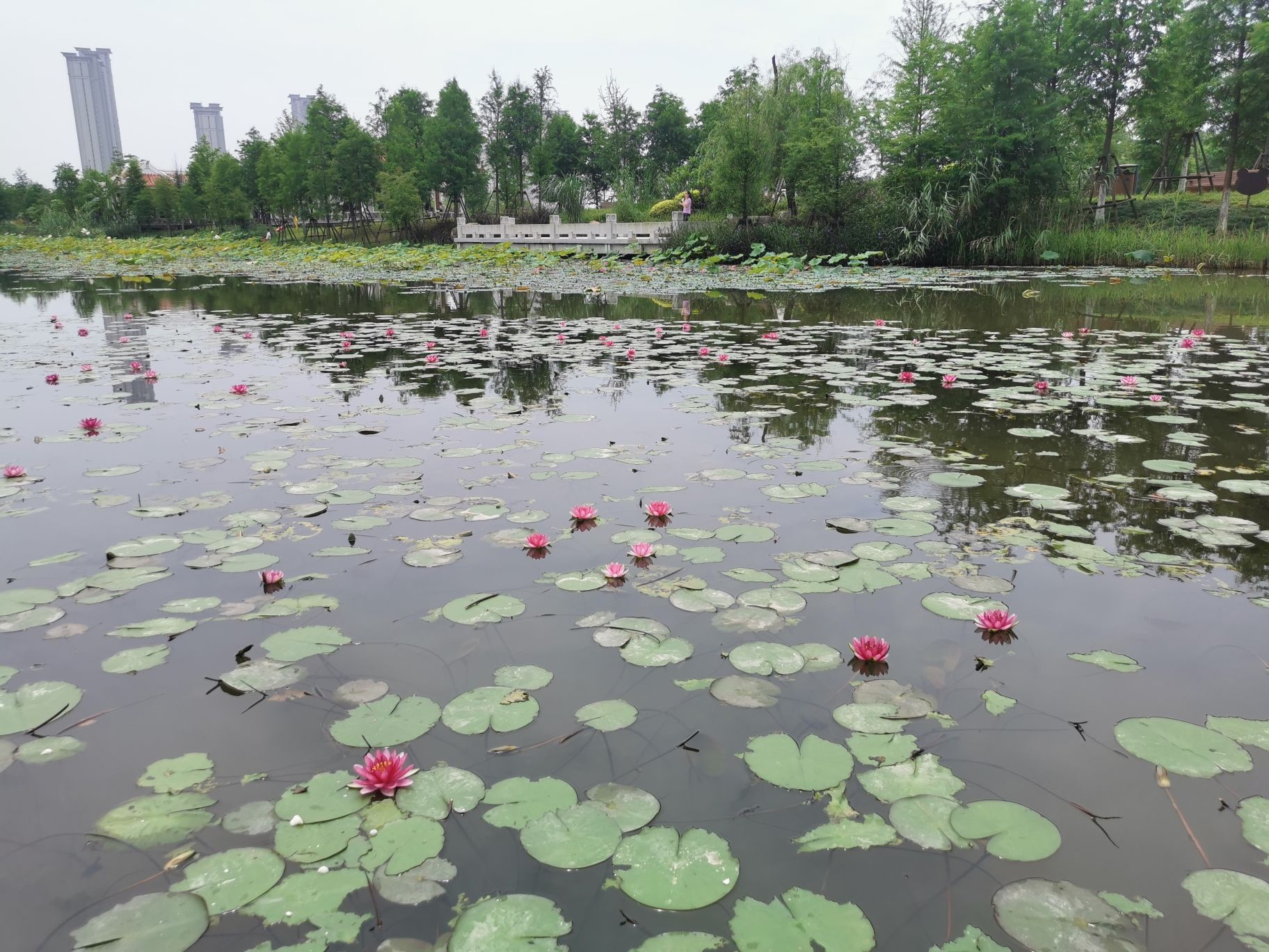 马銮湾双溪湿地公园旅行图片 2