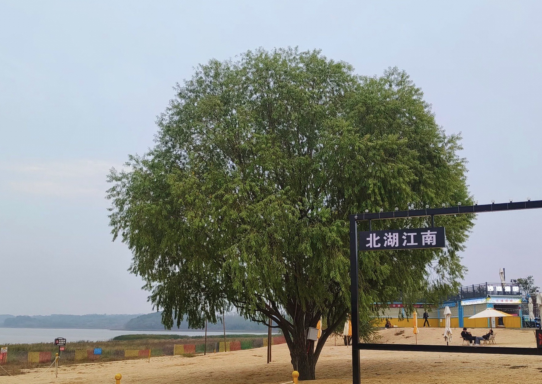 北湖沙滩旅行图片 2