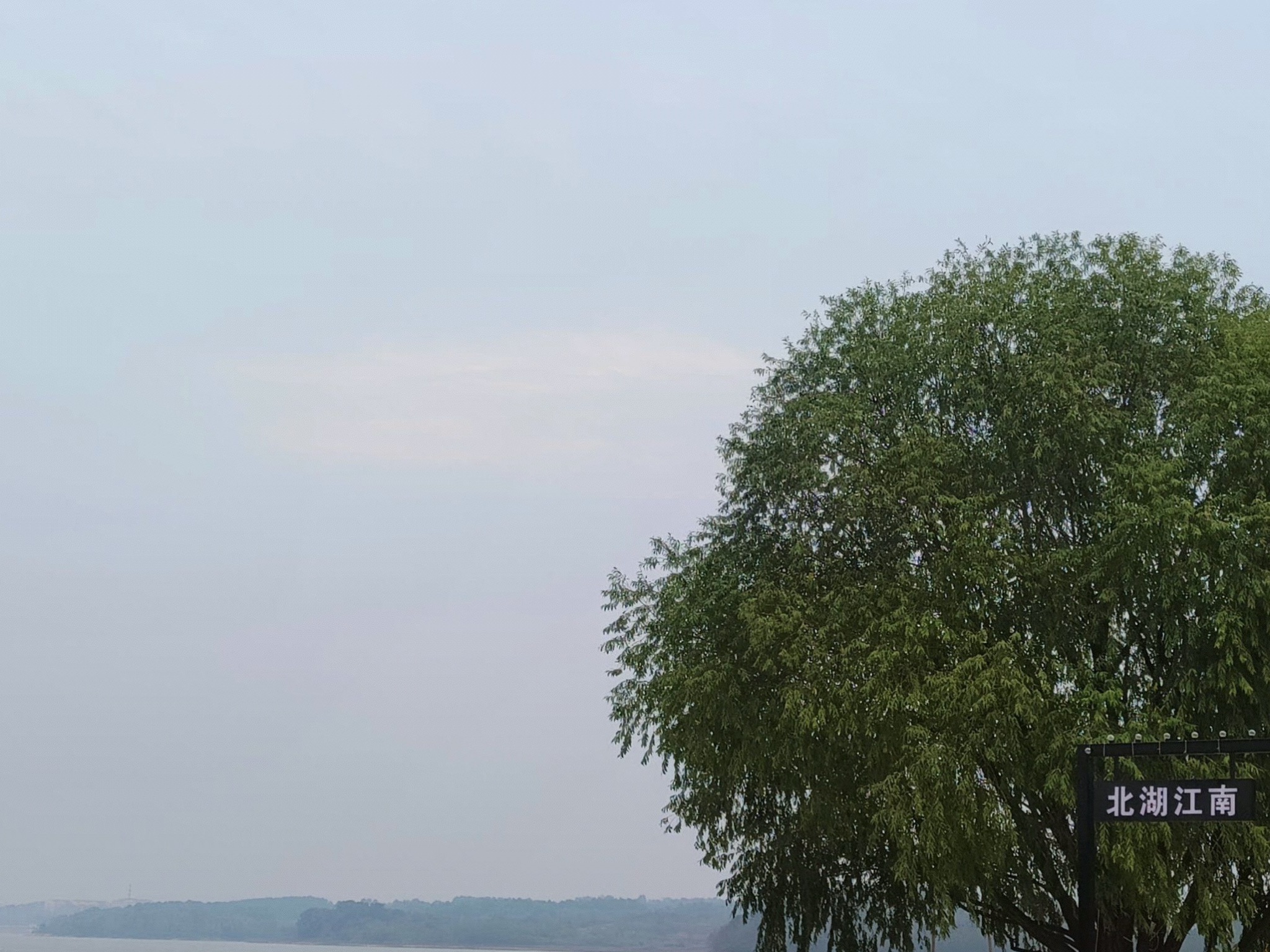 北湖沙滩旅行图片 1