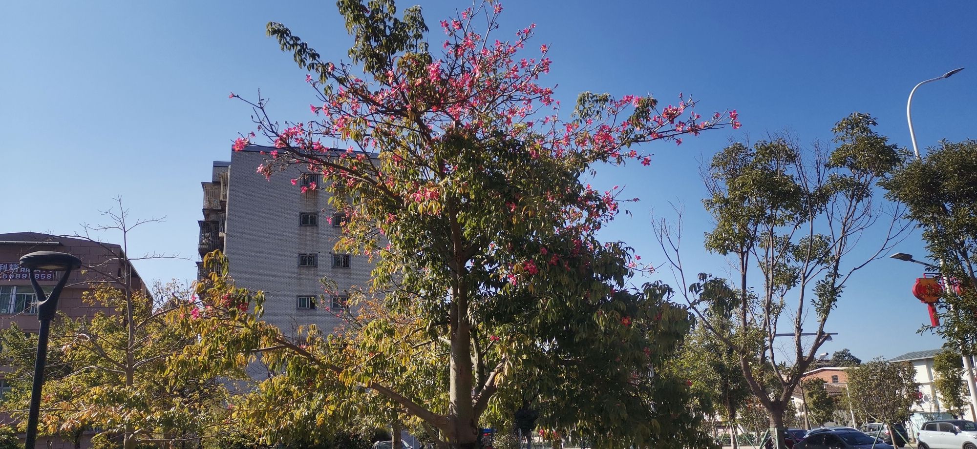 余盛公园旅行图片 3