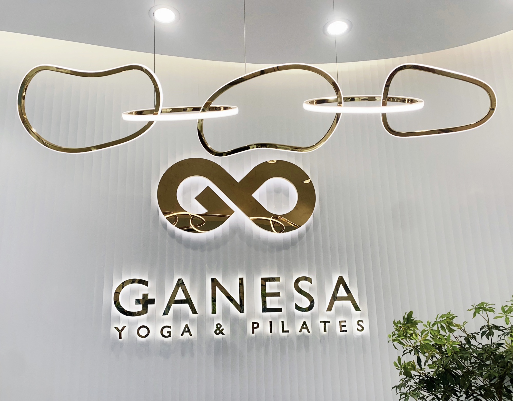 场地封面-VE•瑜伽•普拉提