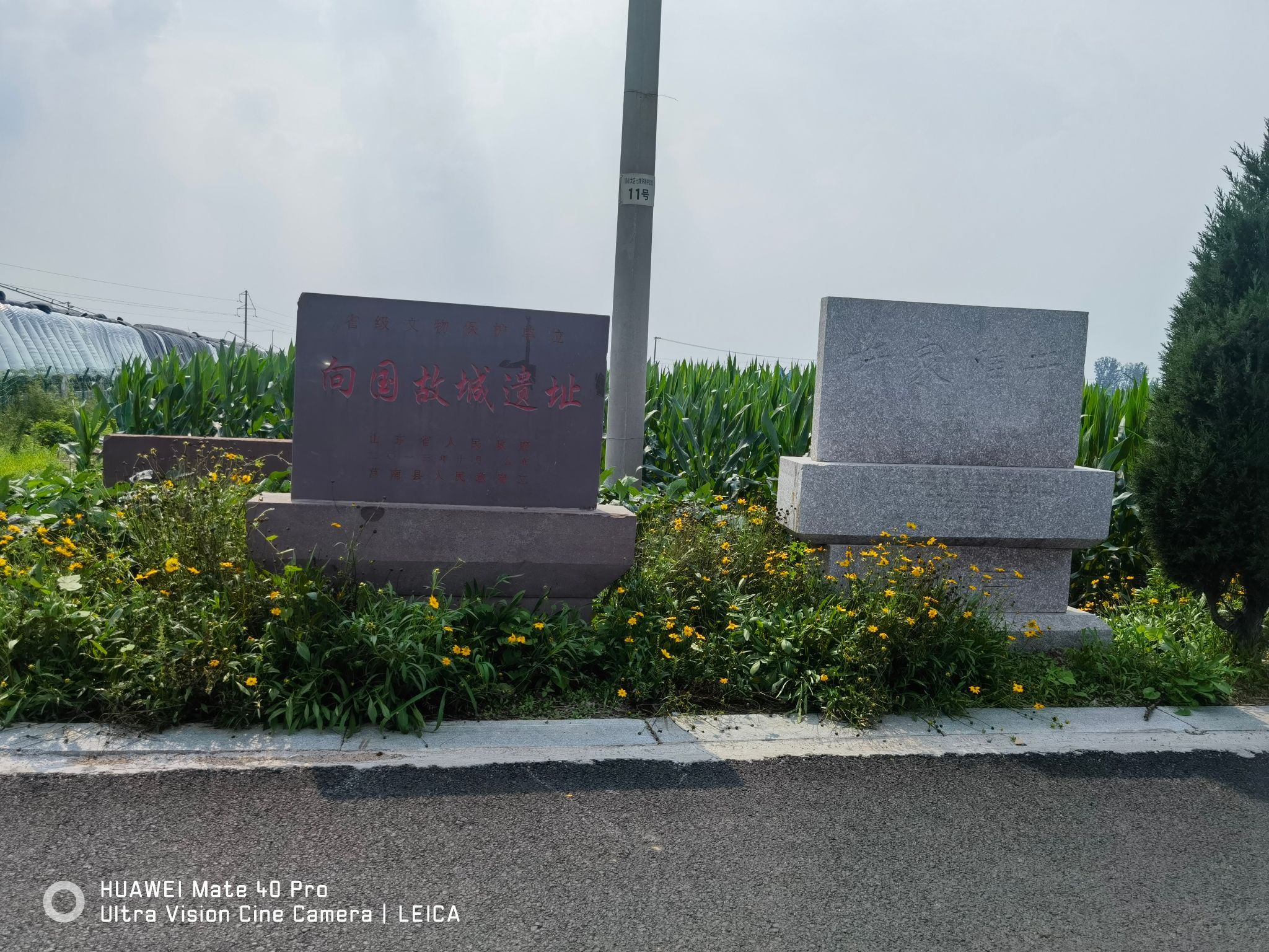 向国故城遗址旅行图片 1