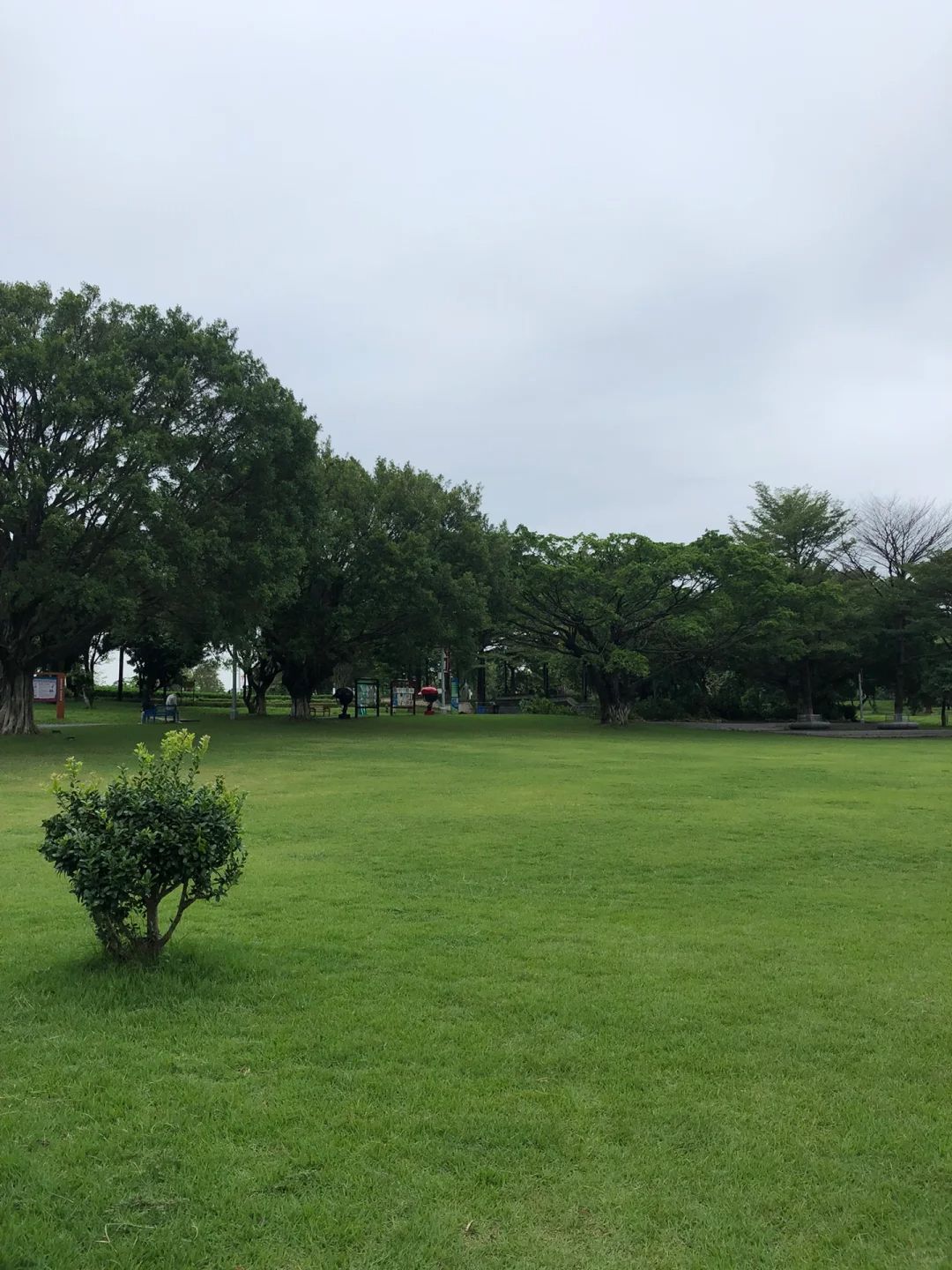 茶山公园旅行图片 3