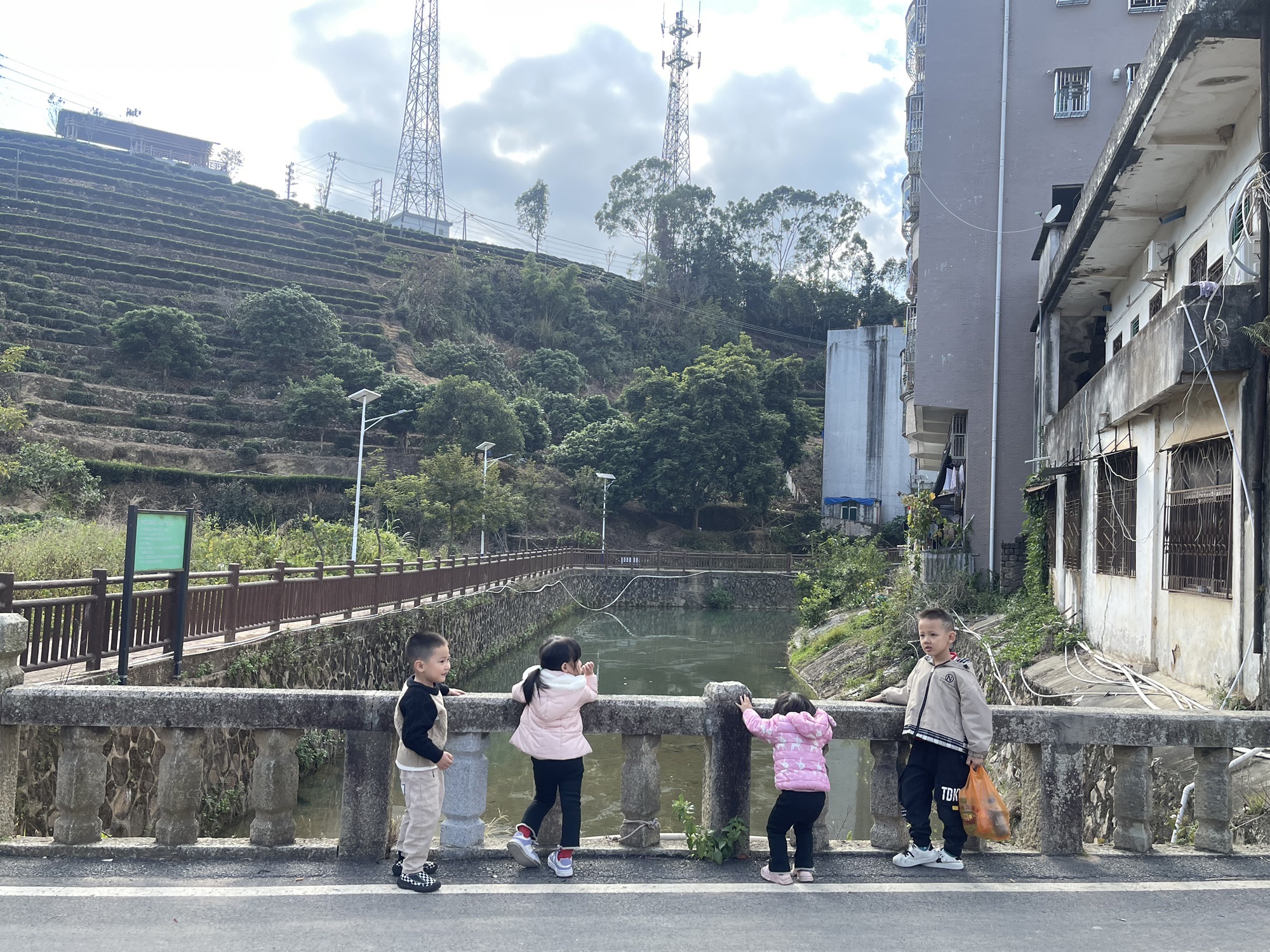 茶山公园旅行图片 3