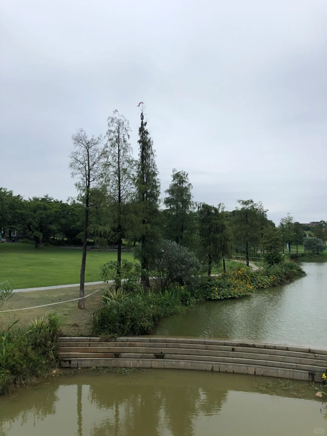 茶山公园旅行图片 2
