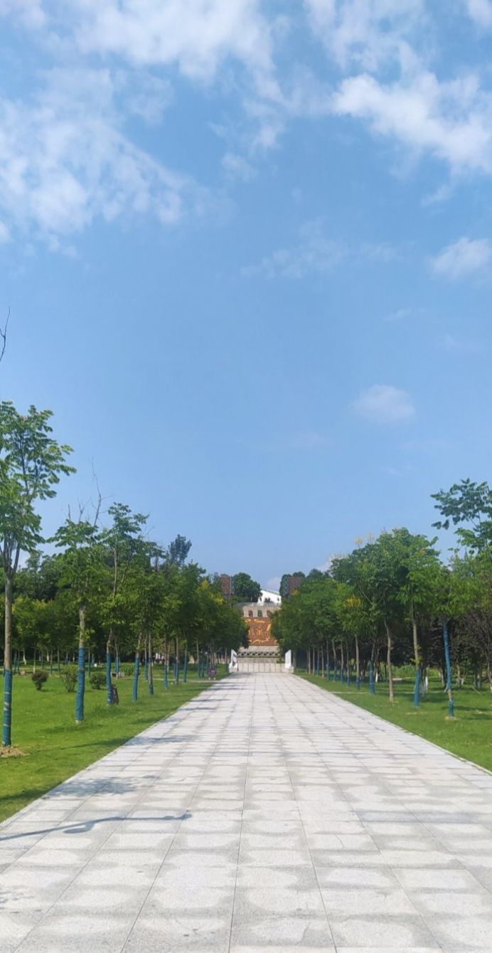 随州樱花公园