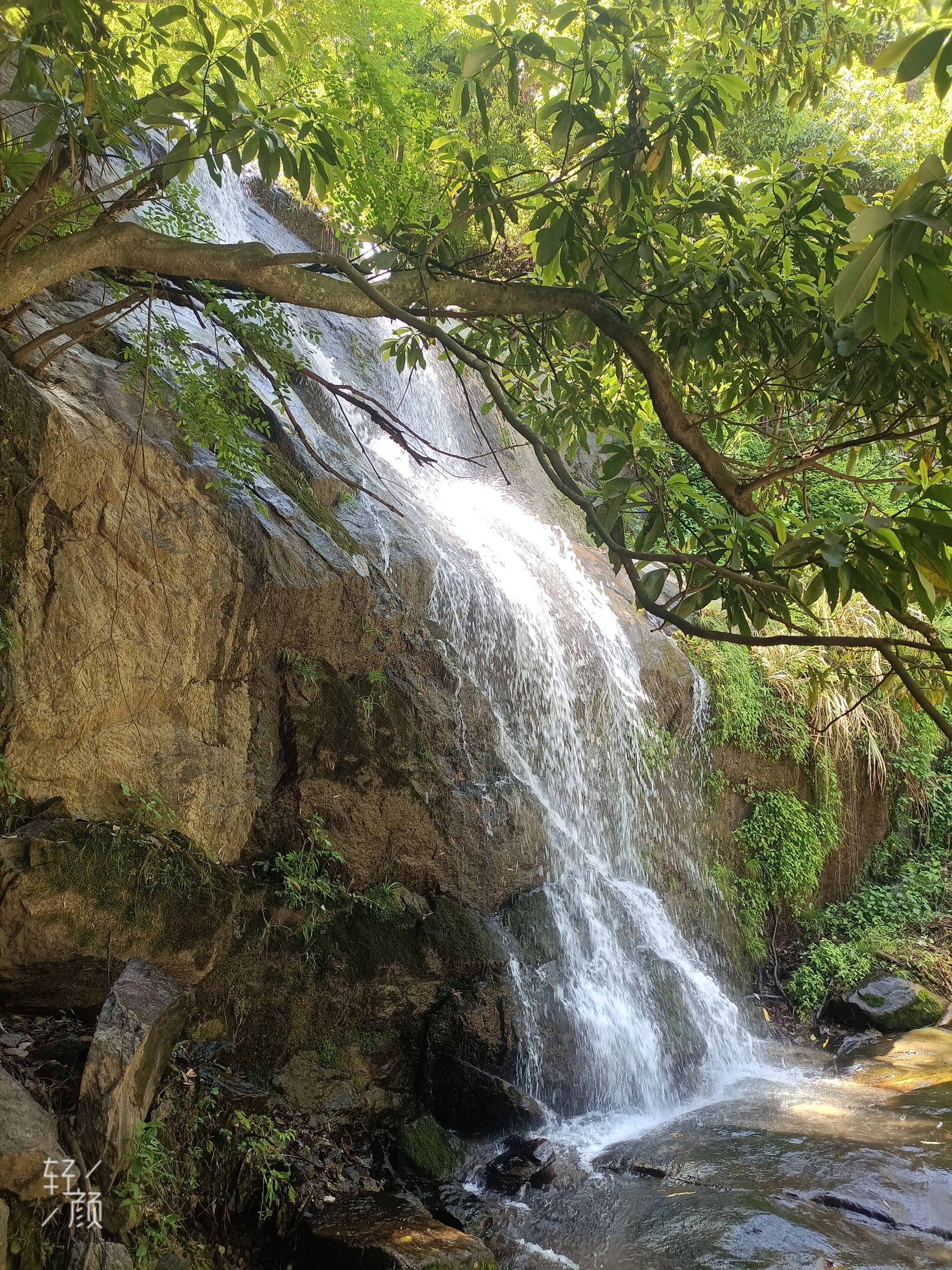 栗树岩瀑布景区旅行图片 3