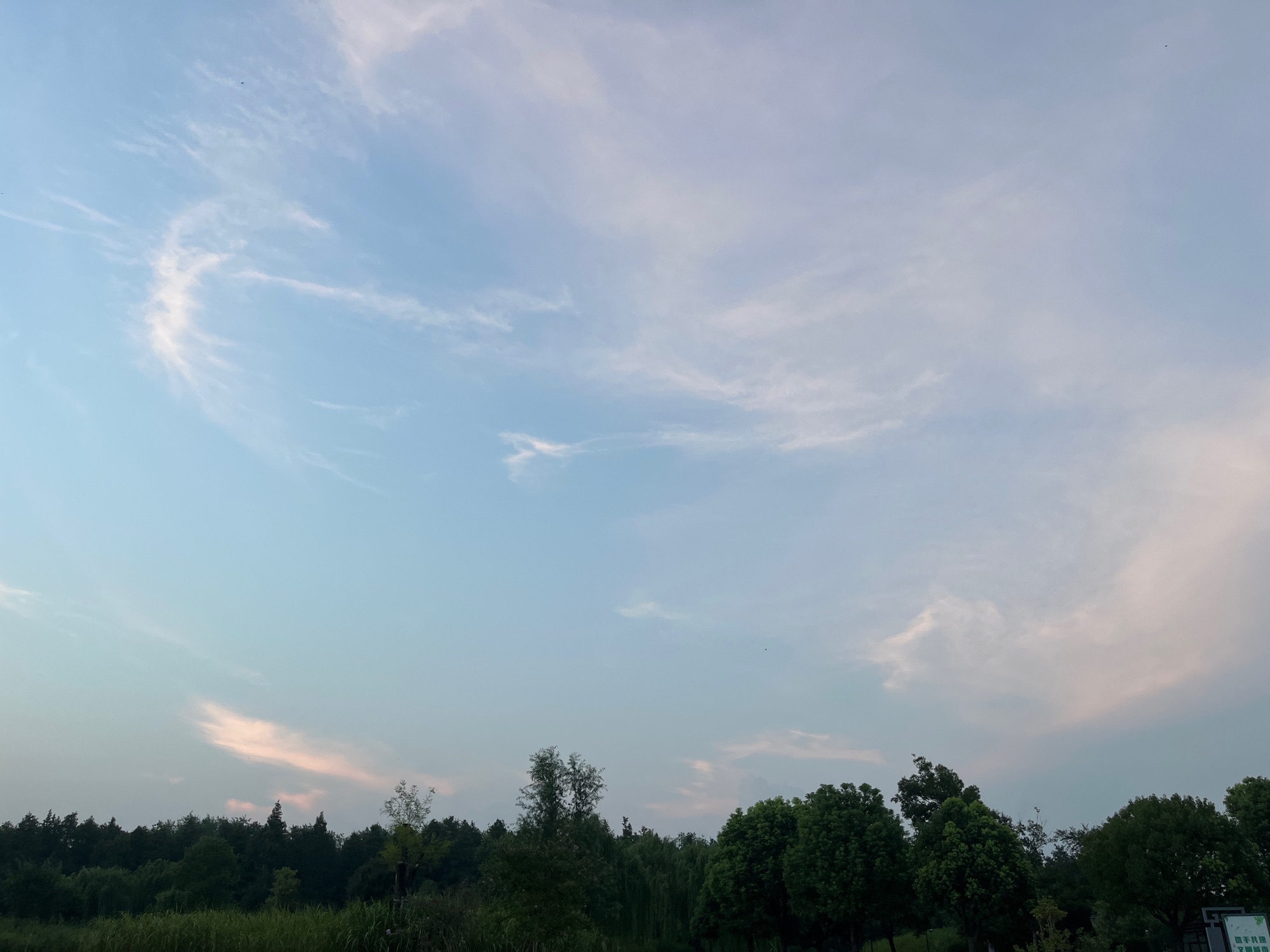 茉莉花体育公园旅行图片 2