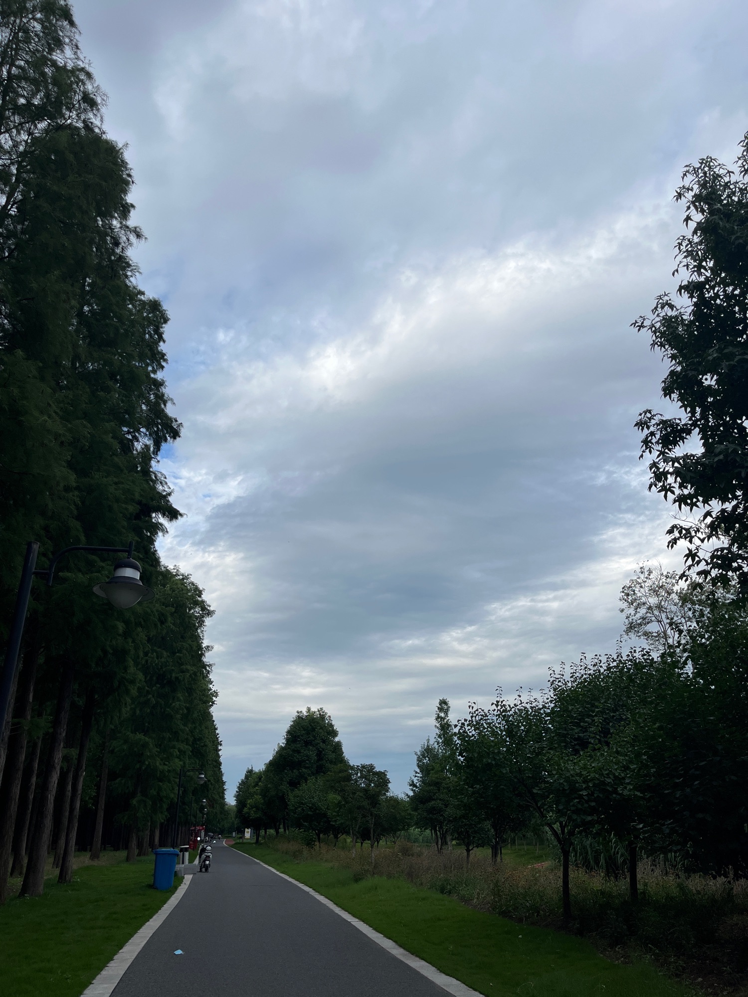 茉莉花体育公园旅行图片 1