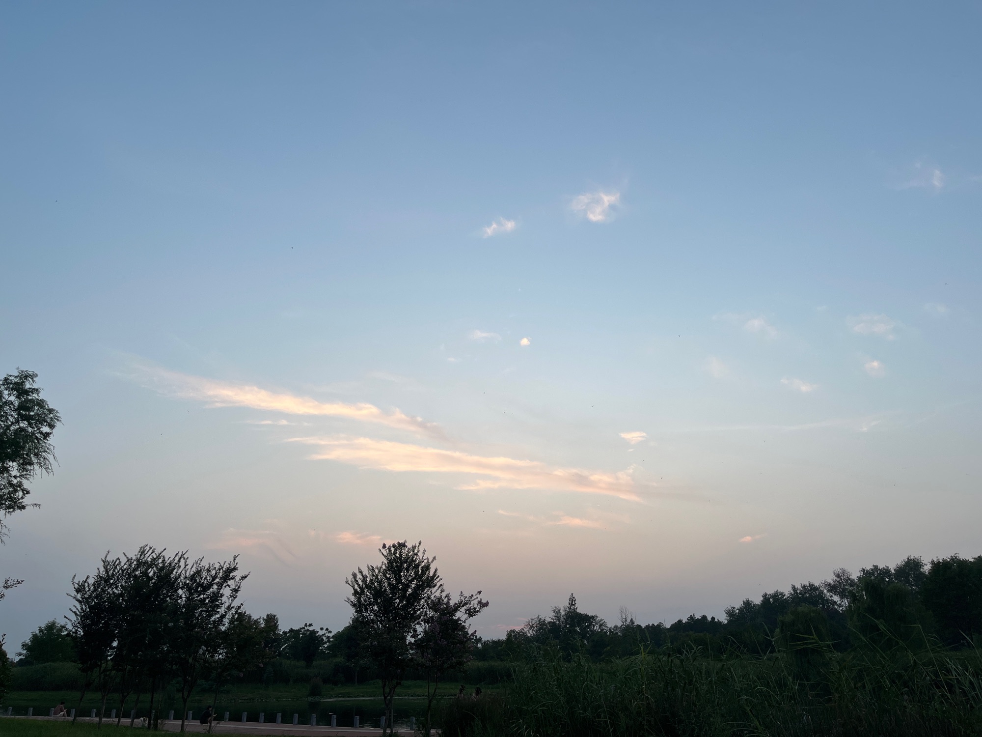 茉莉花体育公园旅行图片 1
