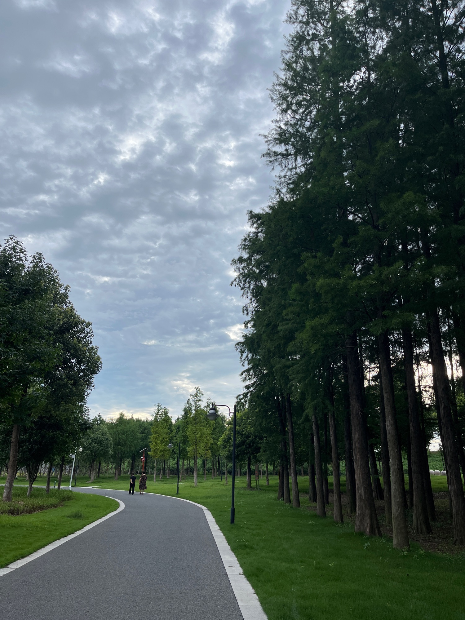 茉莉花体育公园旅行图片 2