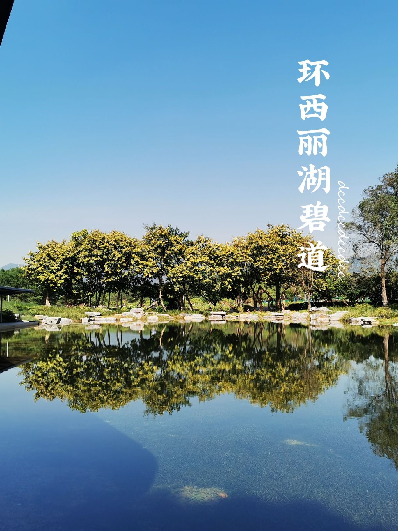 环西丽湖碧道旅行图片 1