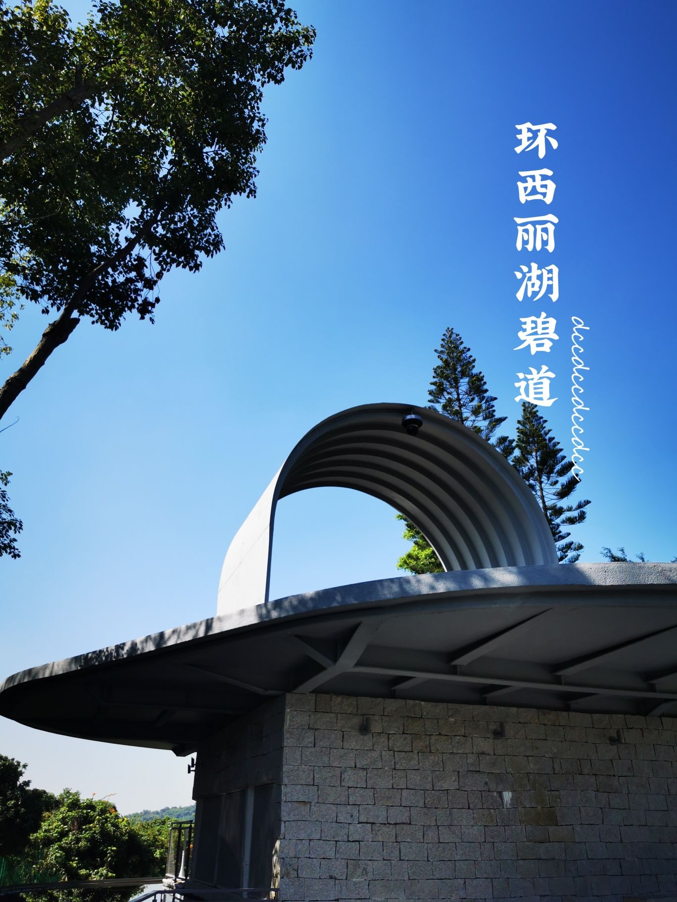 环西丽湖碧道旅行图片 2