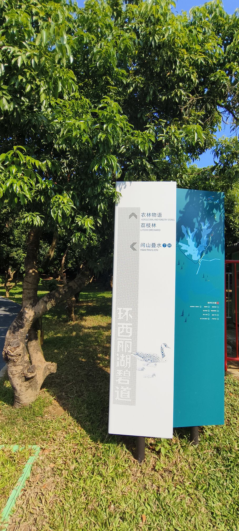 环西丽湖碧道旅行图片 2