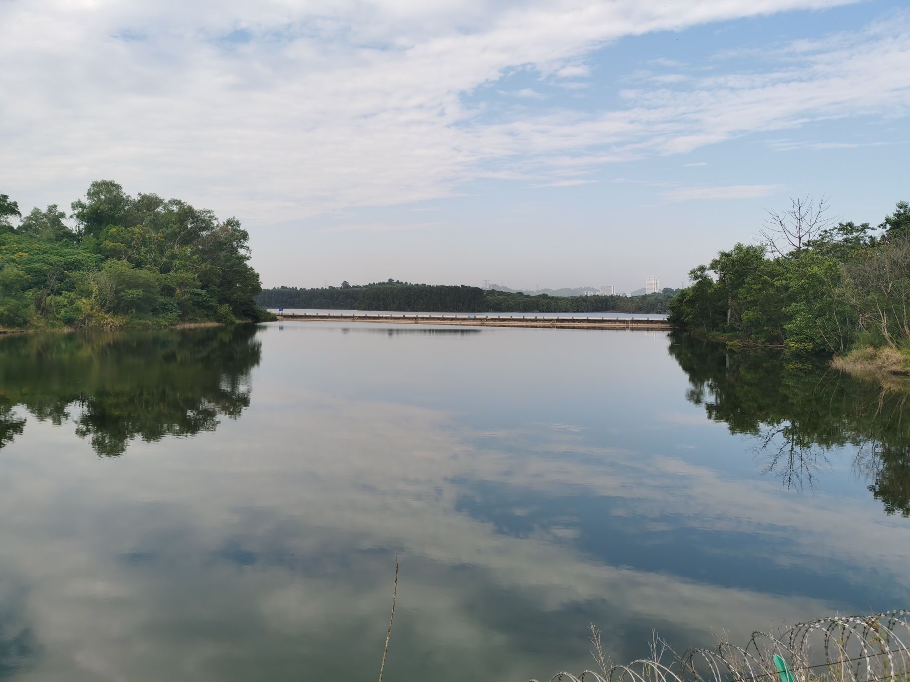 环西丽湖碧道旅行图片 3