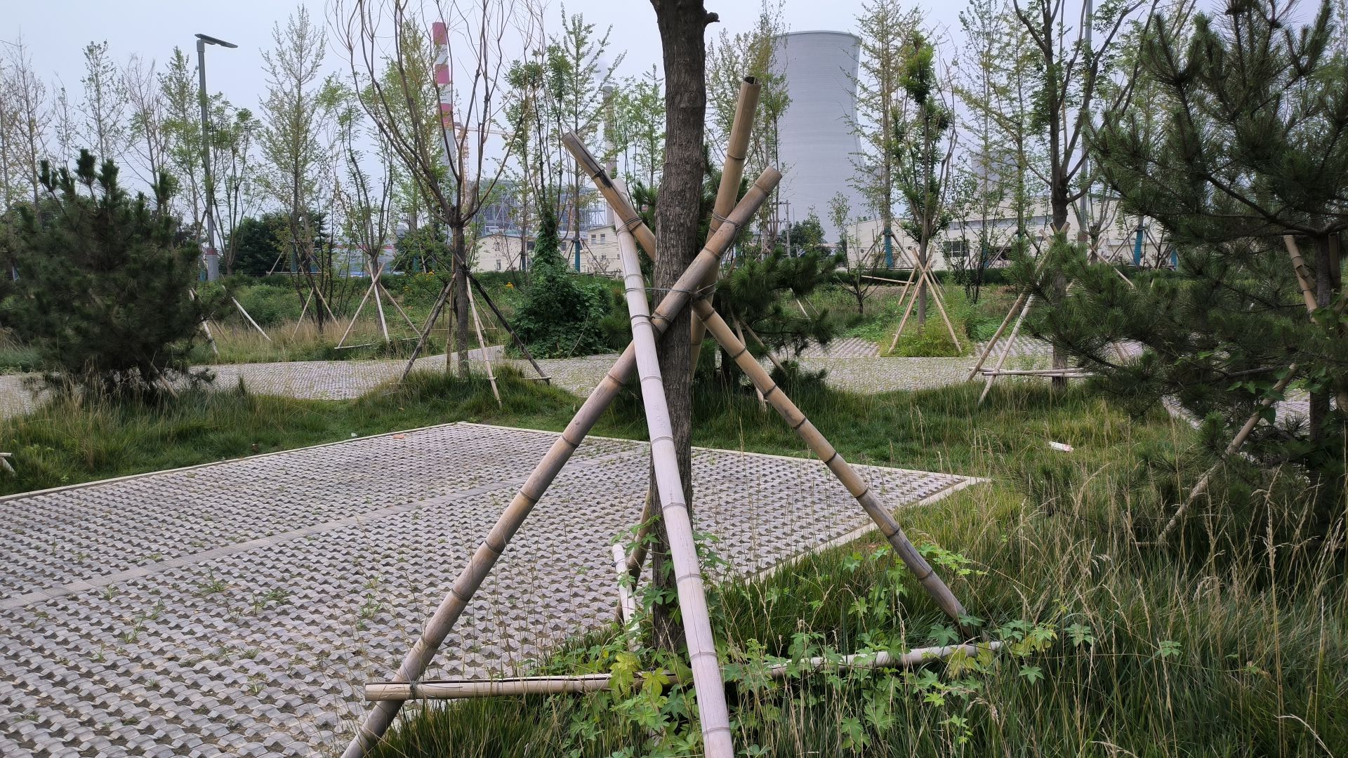 保定环城水系公园(暂停开放)旅行图片 1