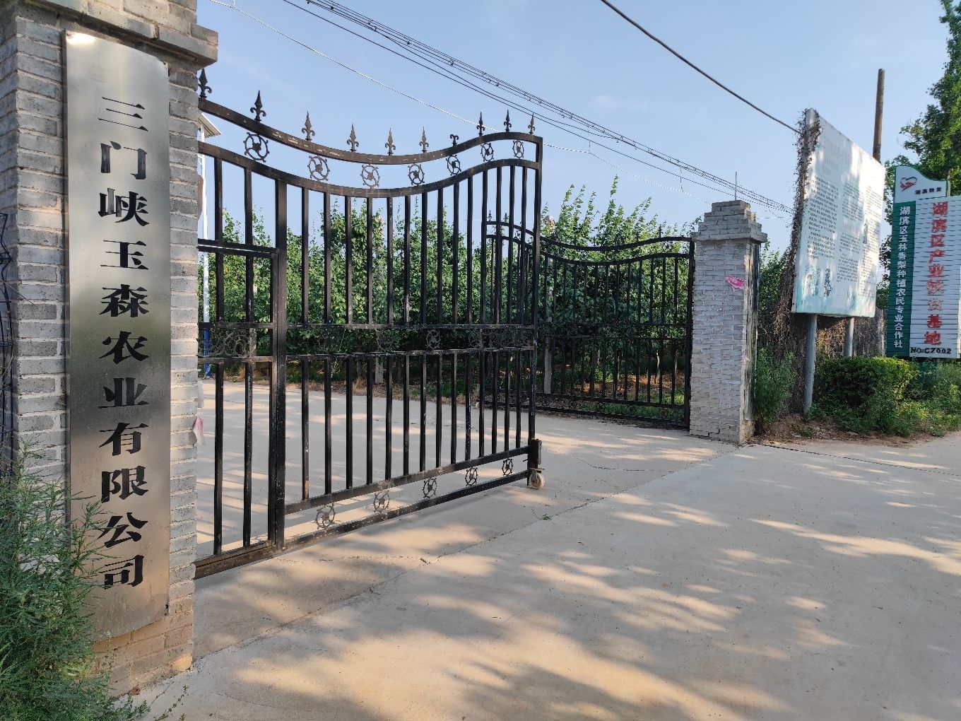 三门峡玉森农业香梨种植基地