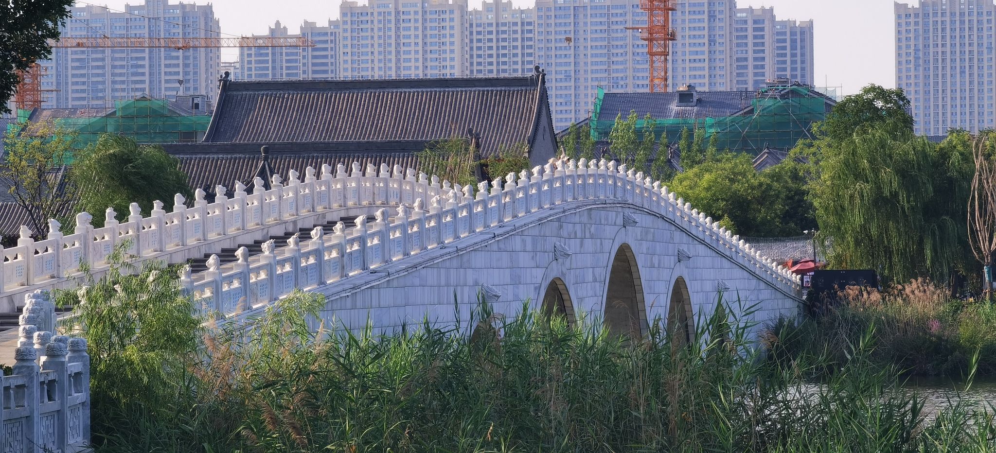 菏泽青年湖公园旅行图片 2