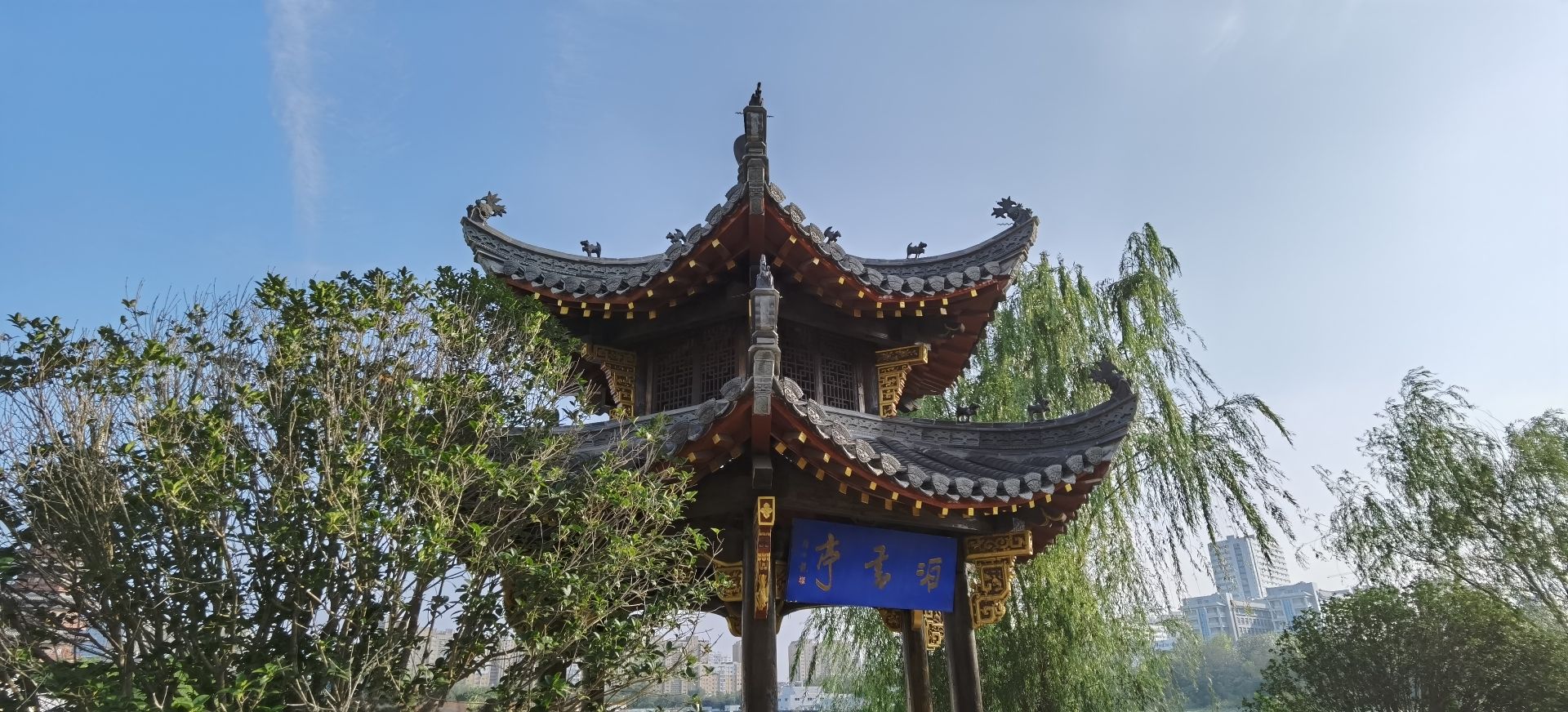 菏泽青年湖公园旅行图片 3