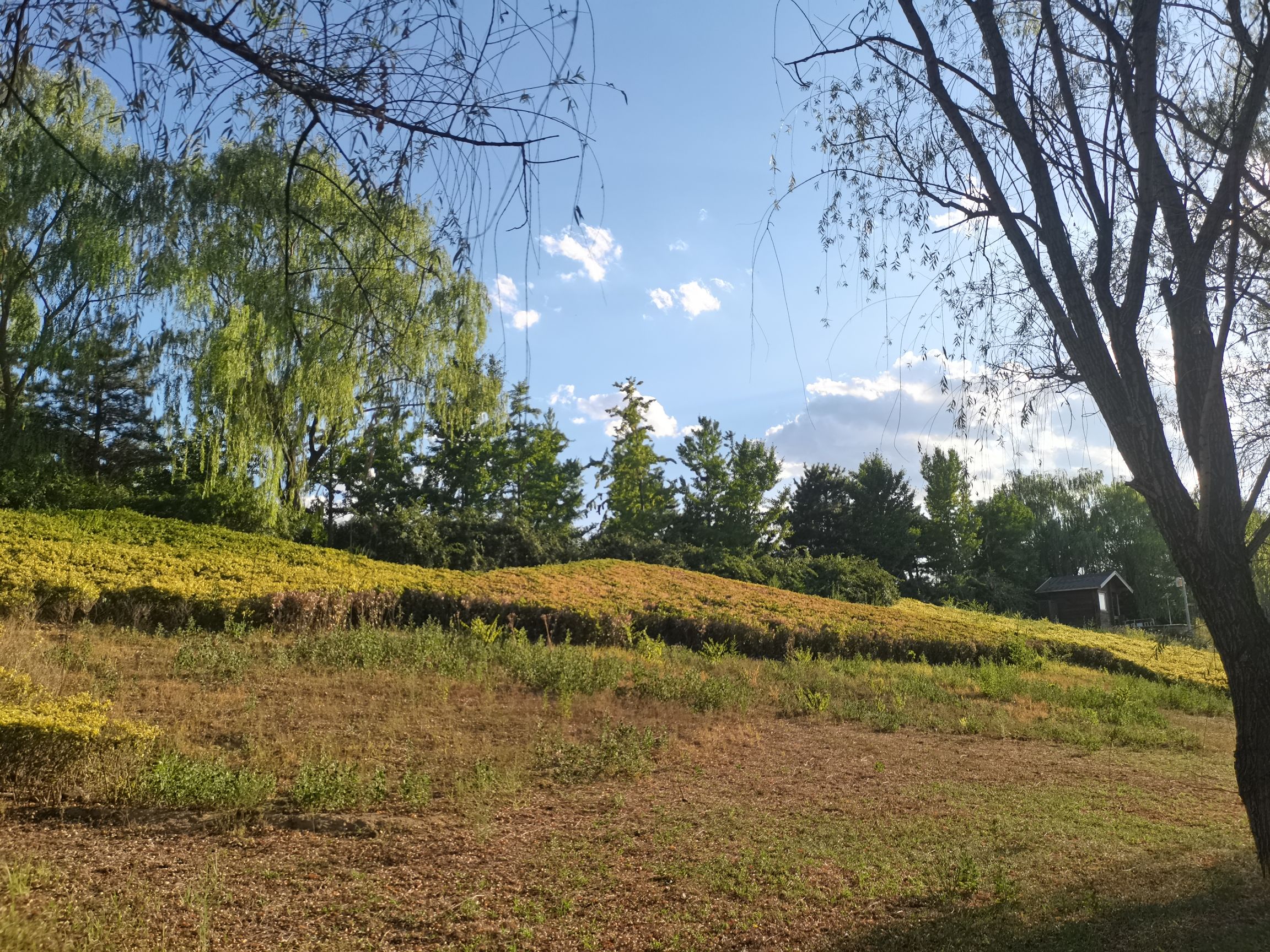 九子河公园旅行图片 3