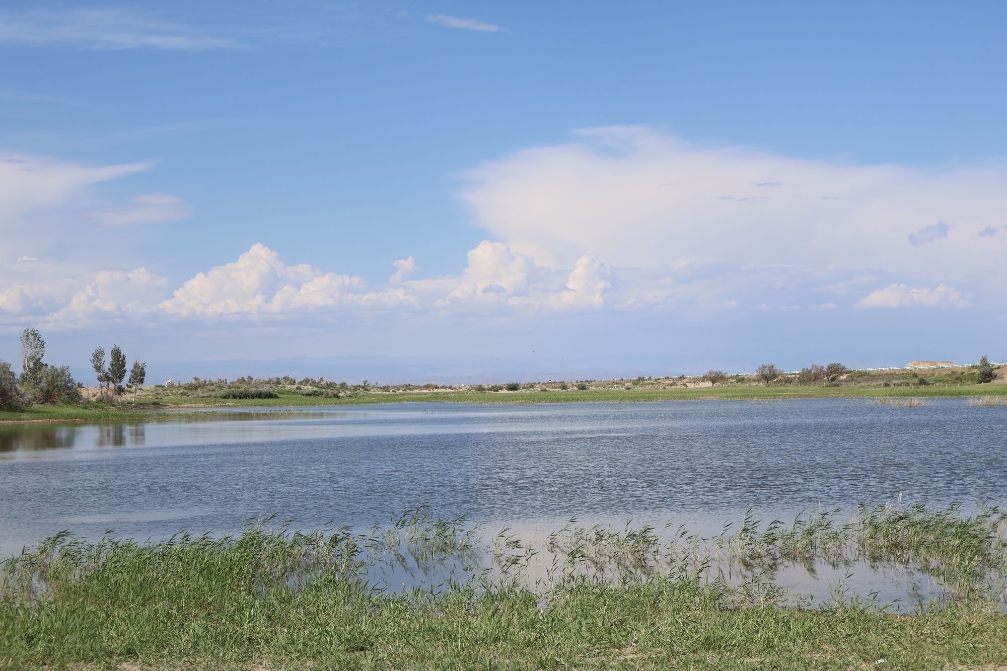 乌伦古湖国家湿地公园