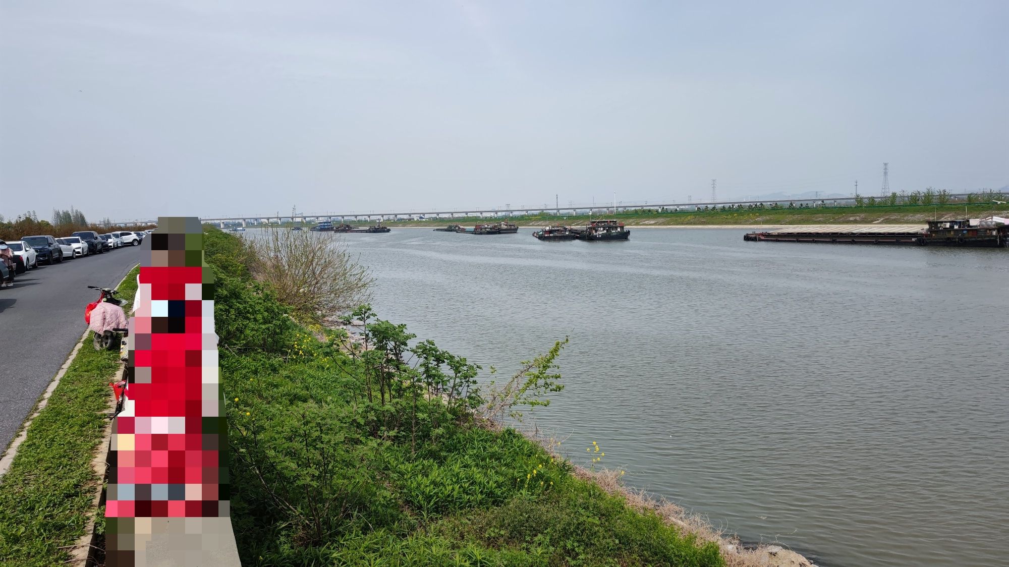 大圩星月湿地旅行图片 1