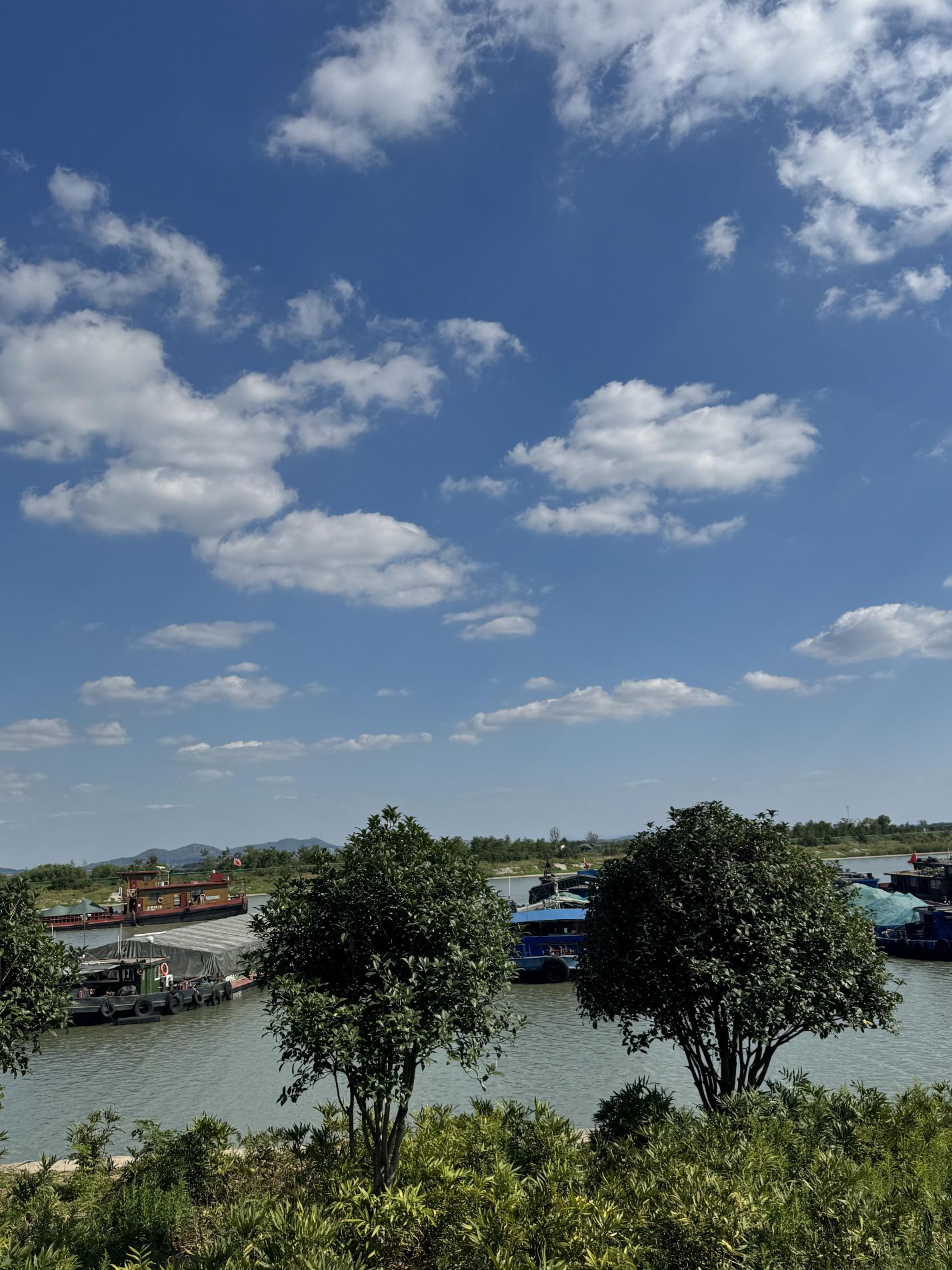 大圩星月湿地旅行图片 3
