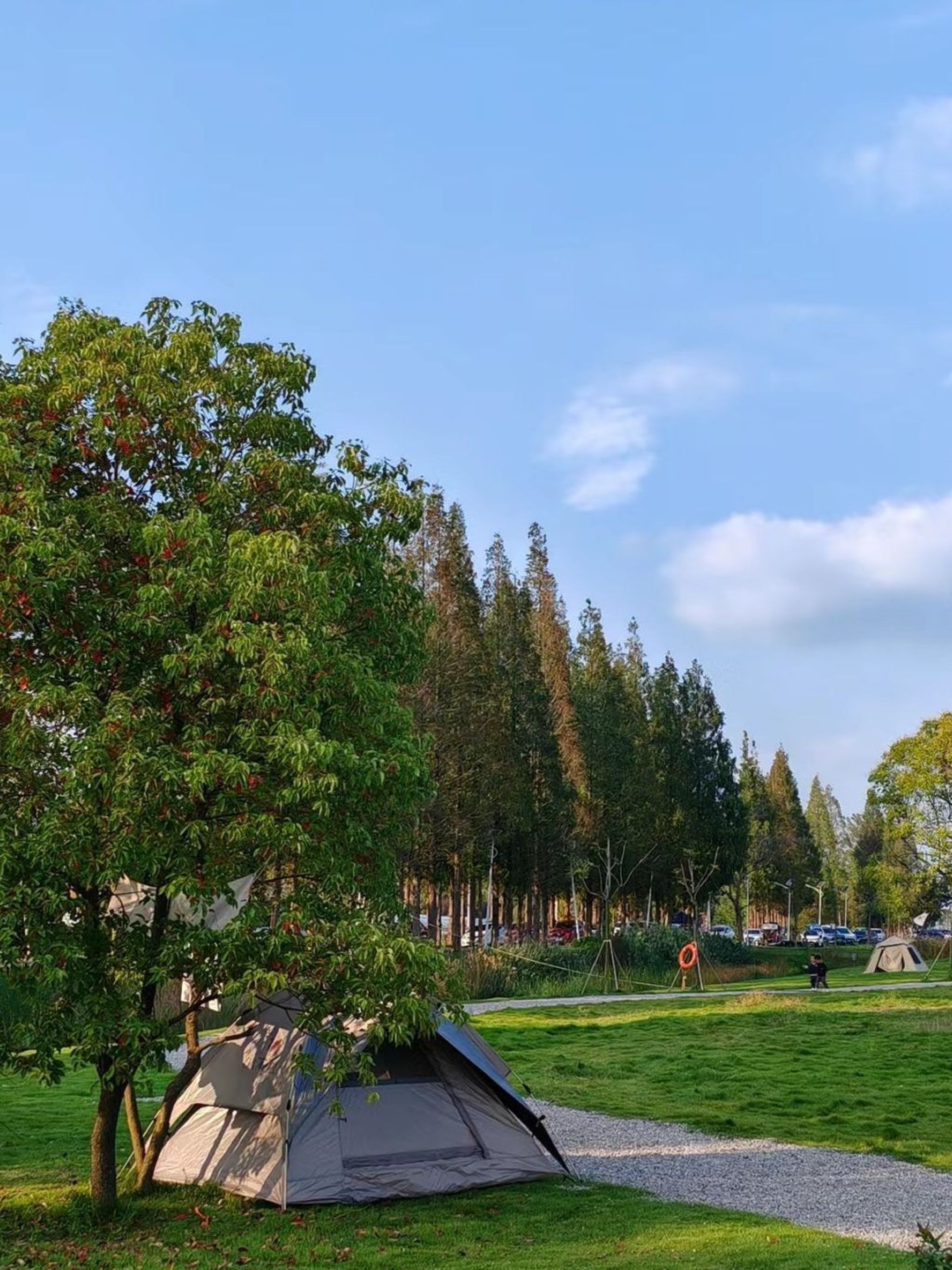大圩星月湿地旅行图片 3