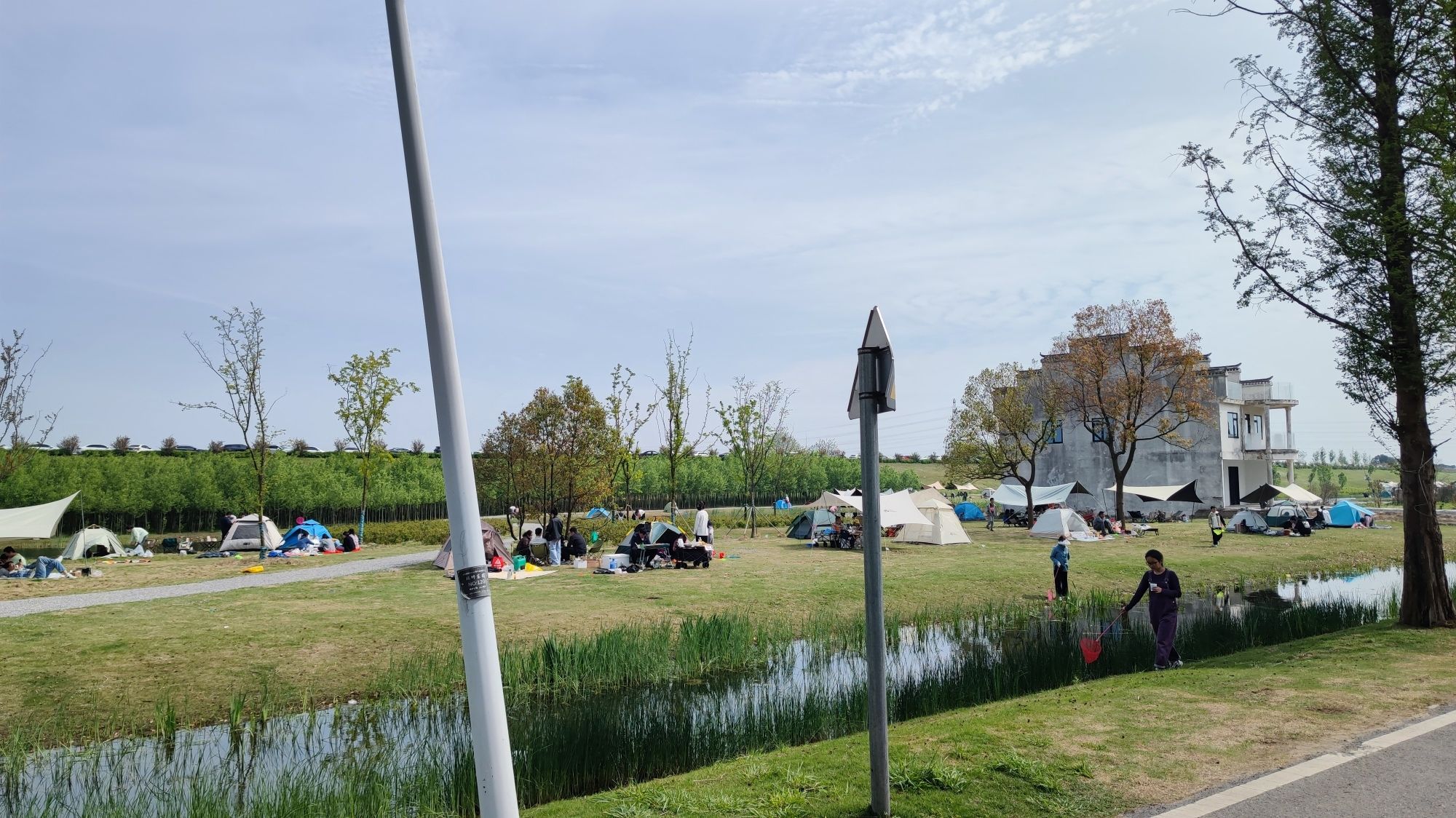 大圩星月湿地旅行图片 2