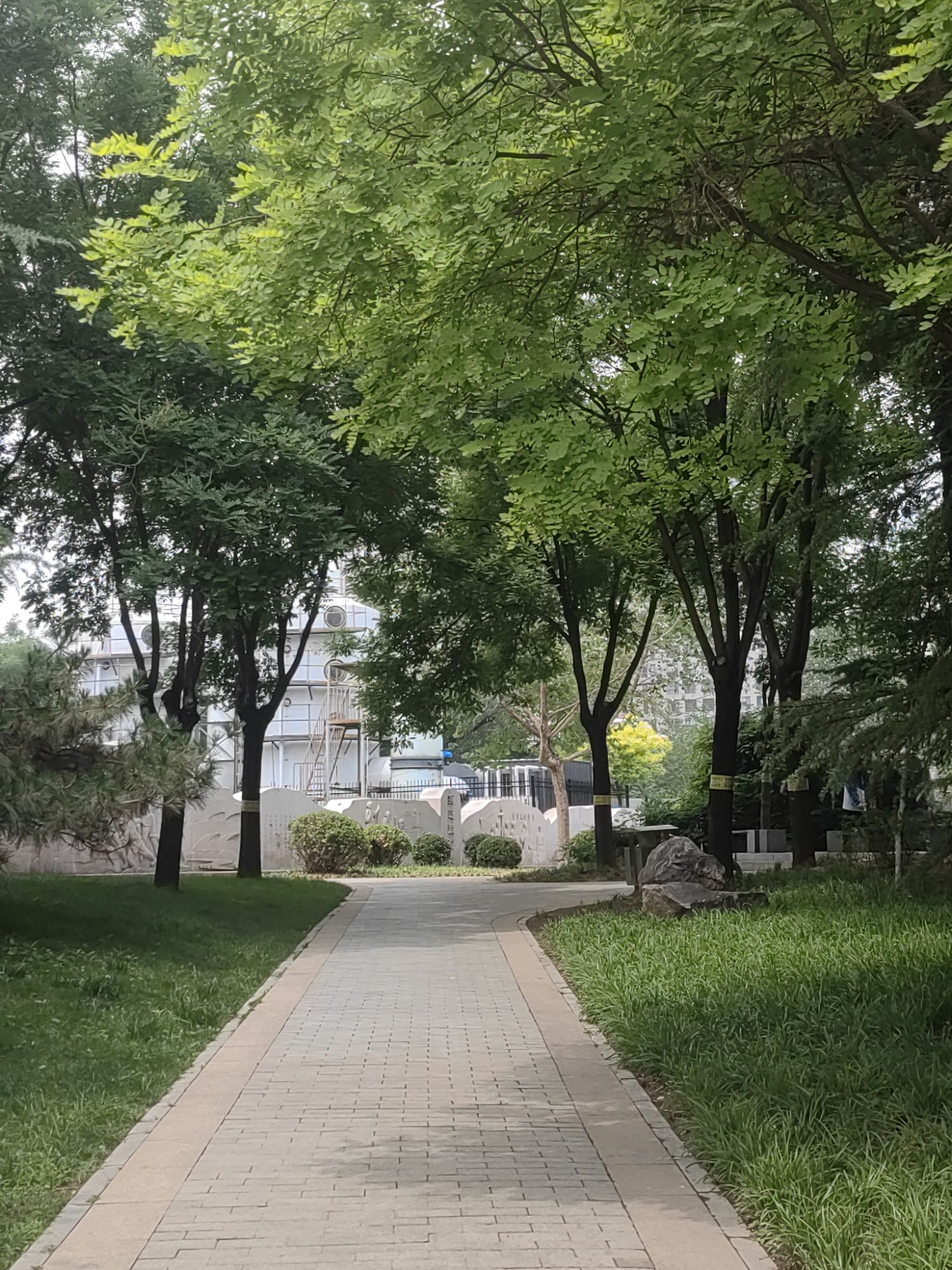 曙光园旅行图片 3