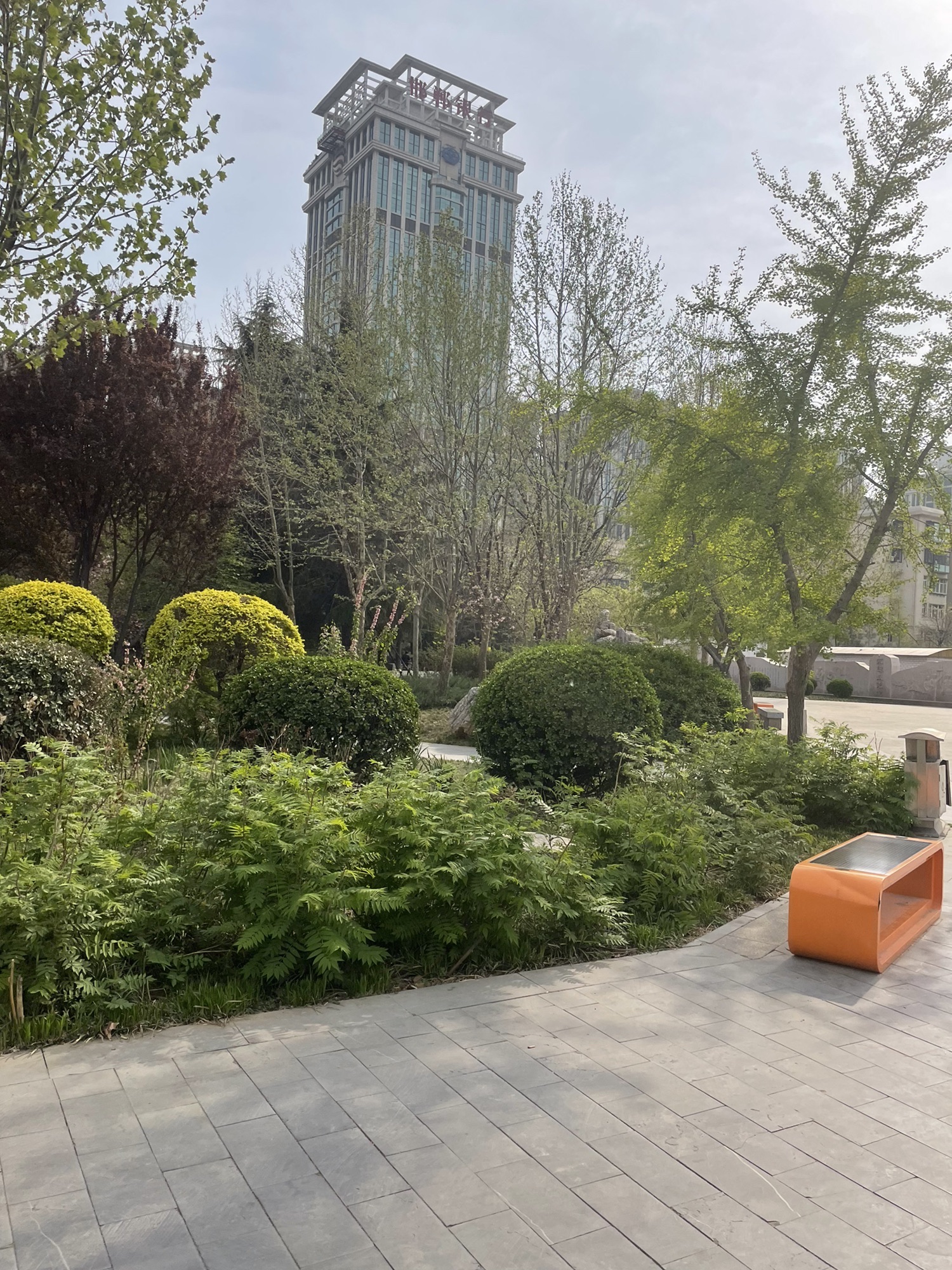 曙光园旅行图片 2