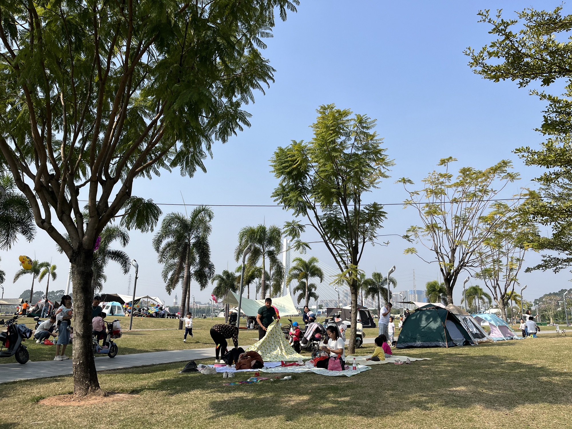 佛山青年公园